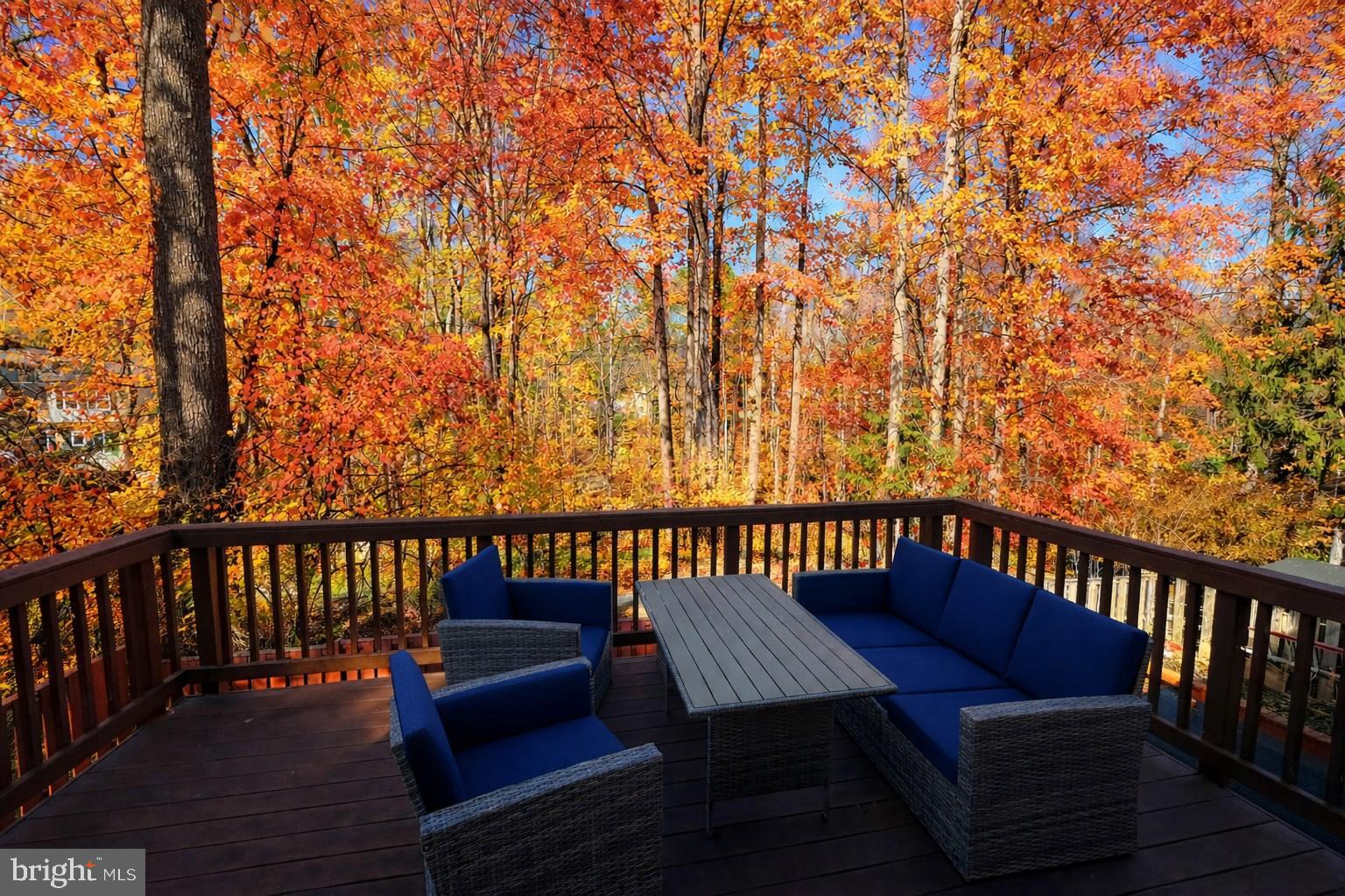 DANBURY FOREST - Residential