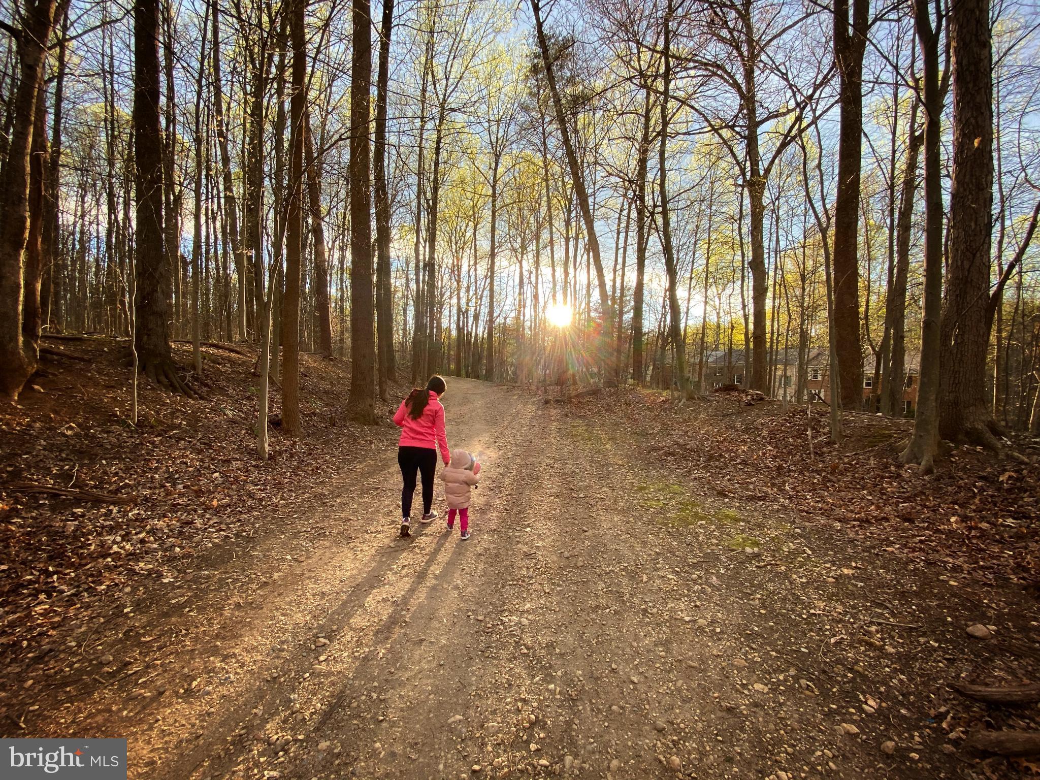 DANBURY FOREST - Residential