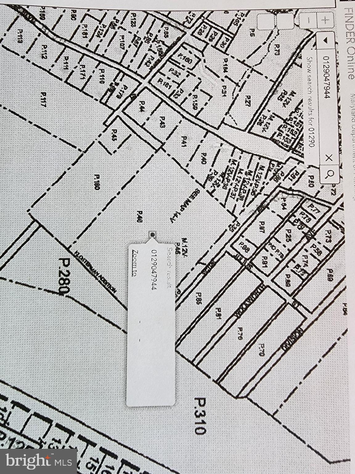 Main image without alt text