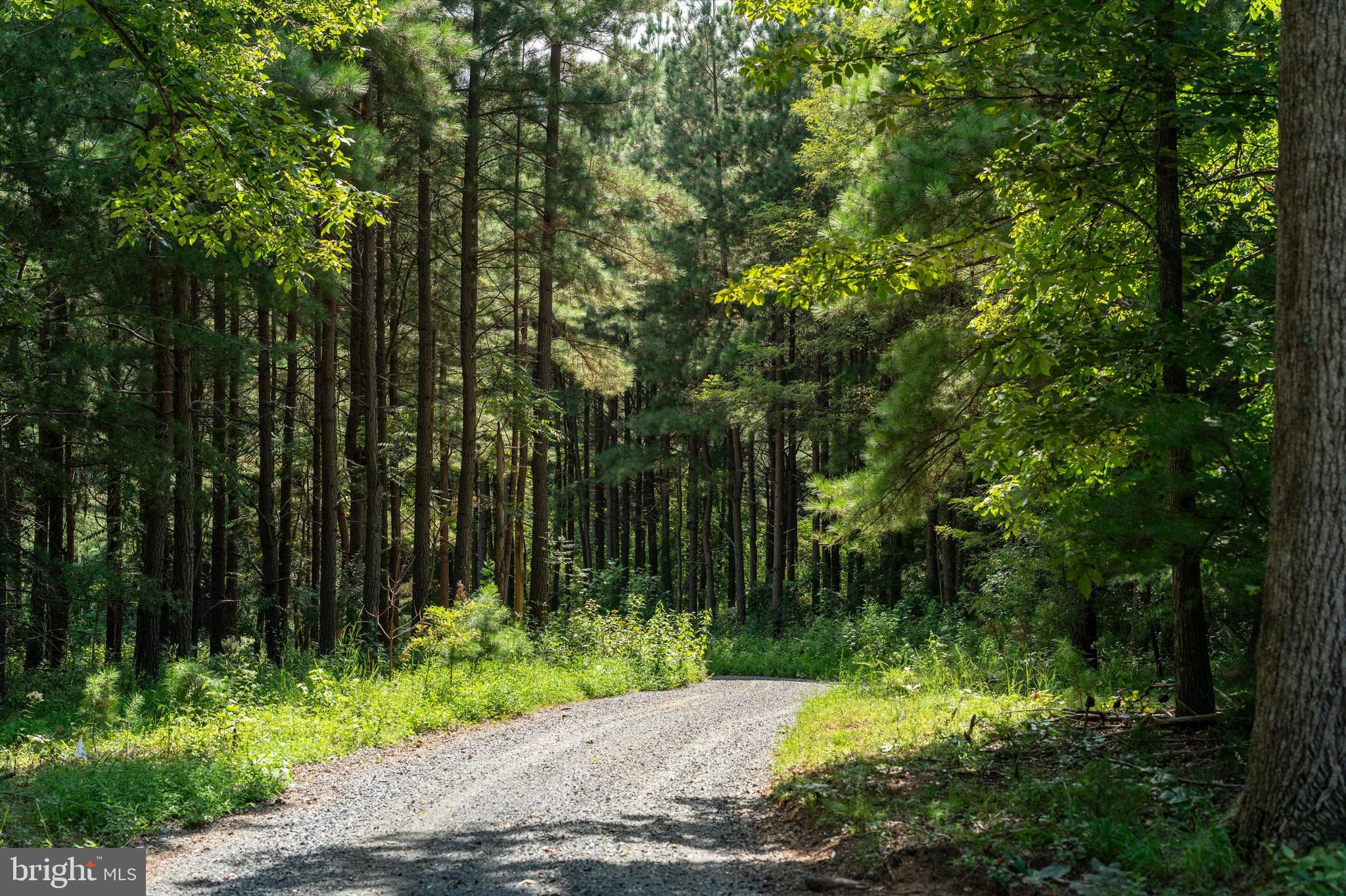 BLANDEMAR FARM ESTATES - Residential