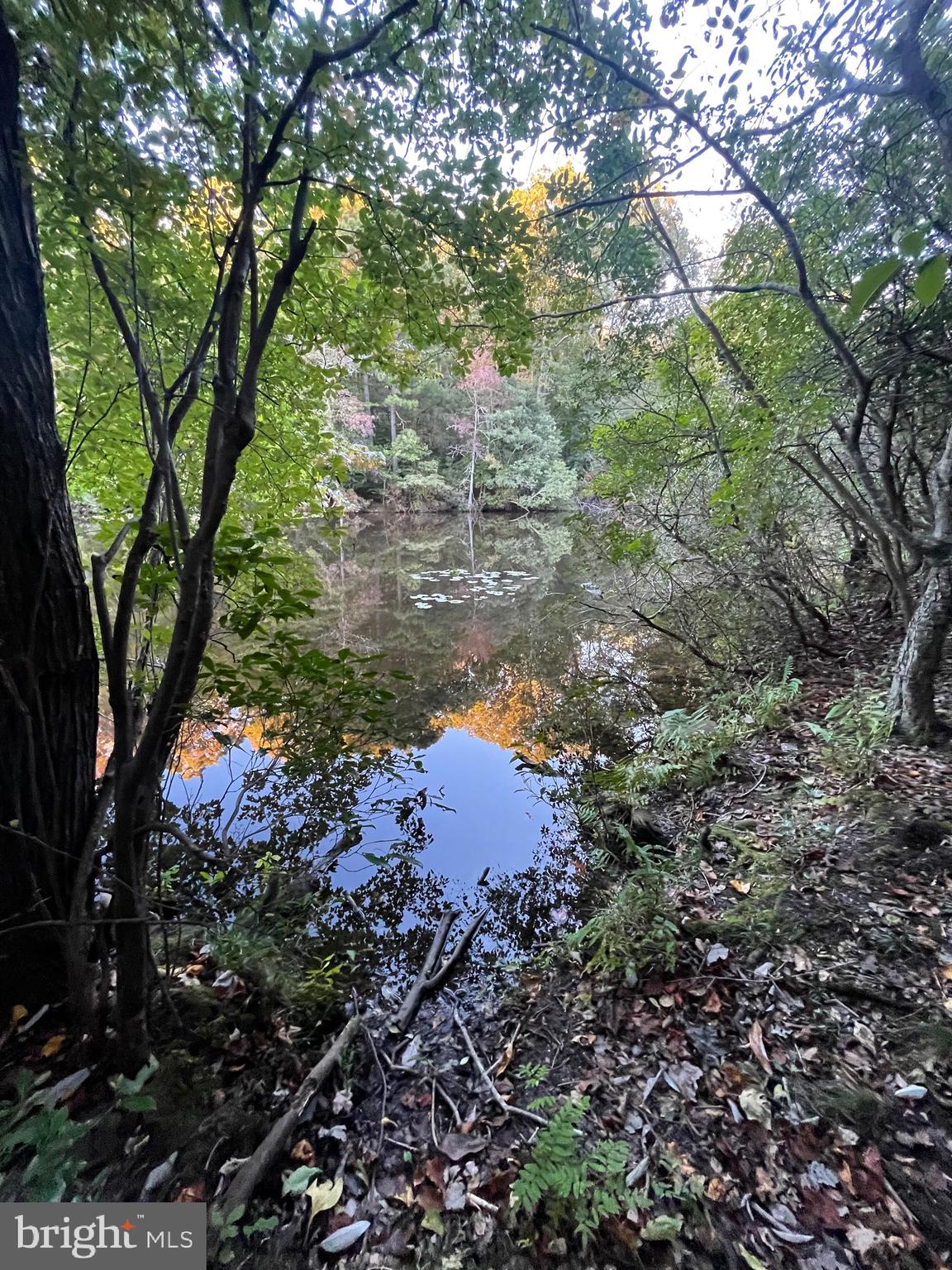 CHESAPEAKE RANCH ESTATES - Residential