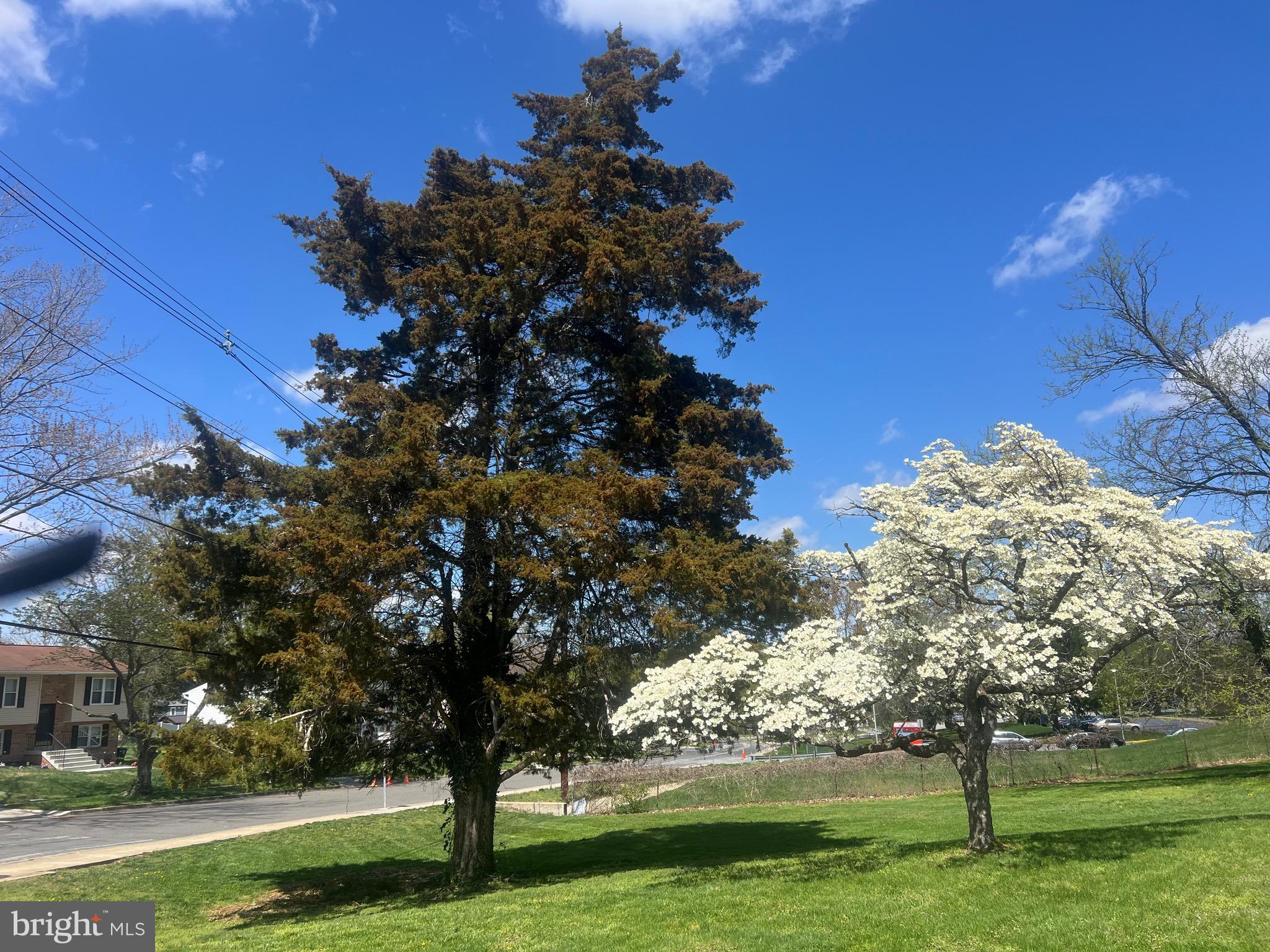 APPLE GROVE - Residential