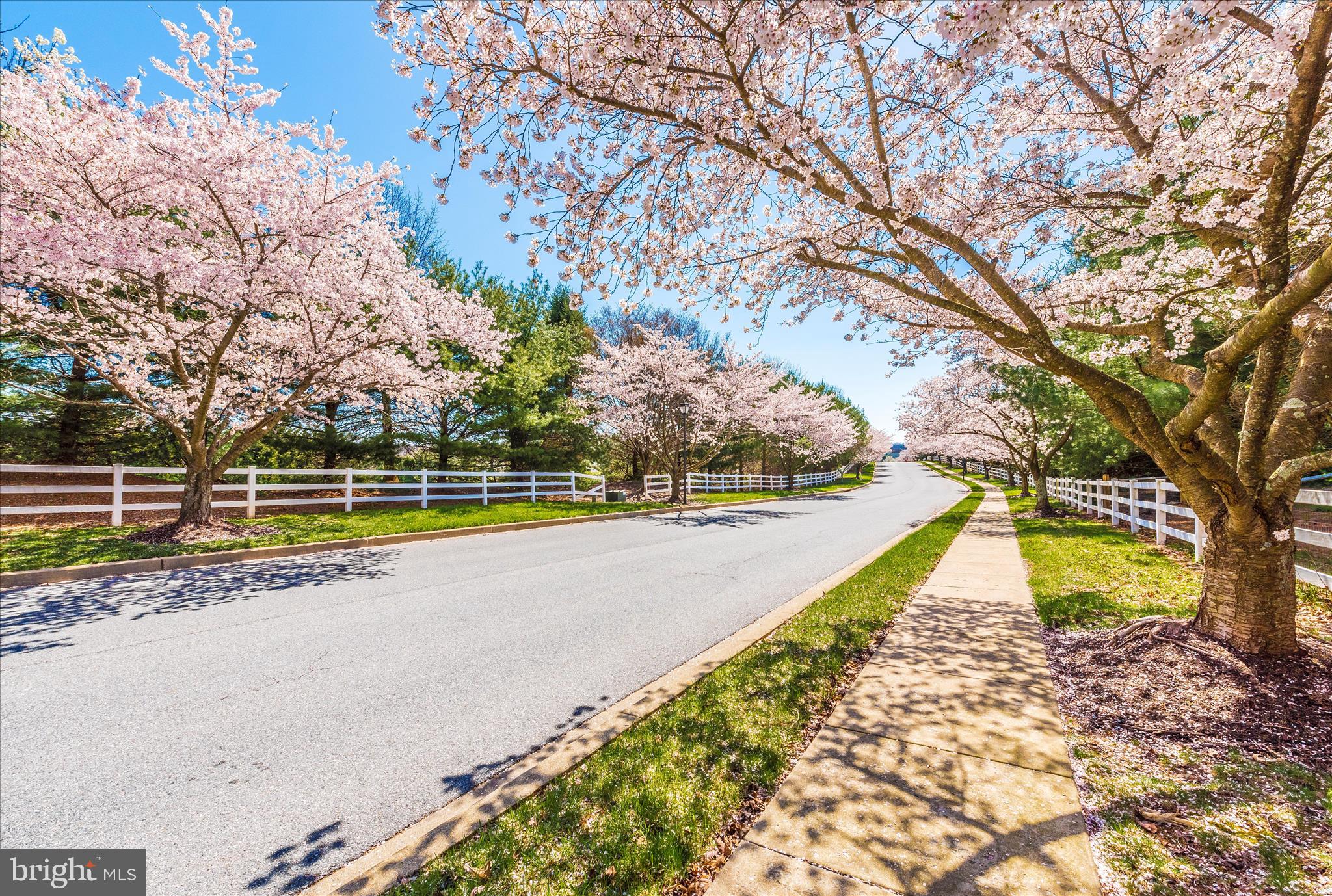 WOODLANDS AT NOTTINGHAM - Residential