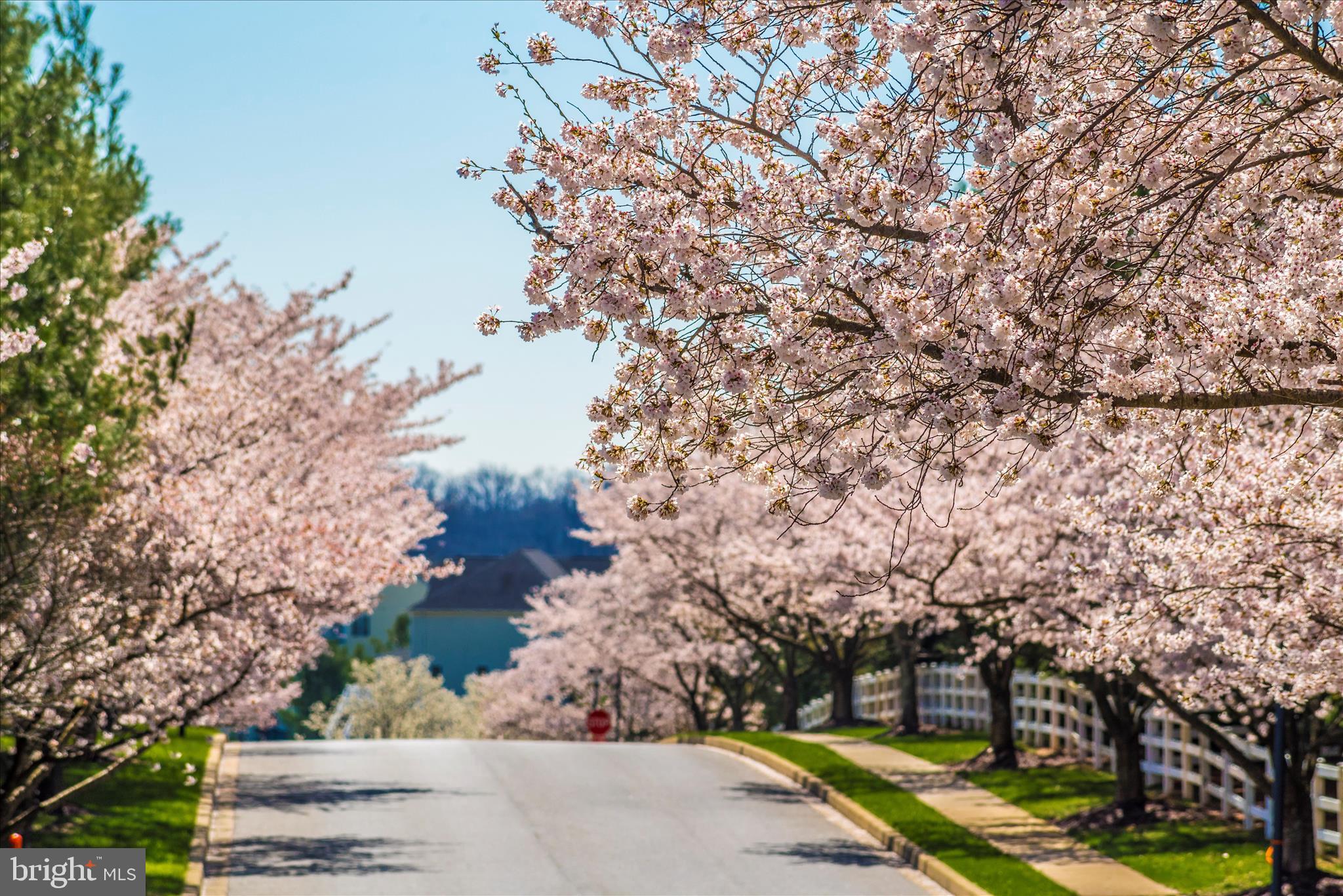 WOODLANDS AT NOTTINGHAM - Residential