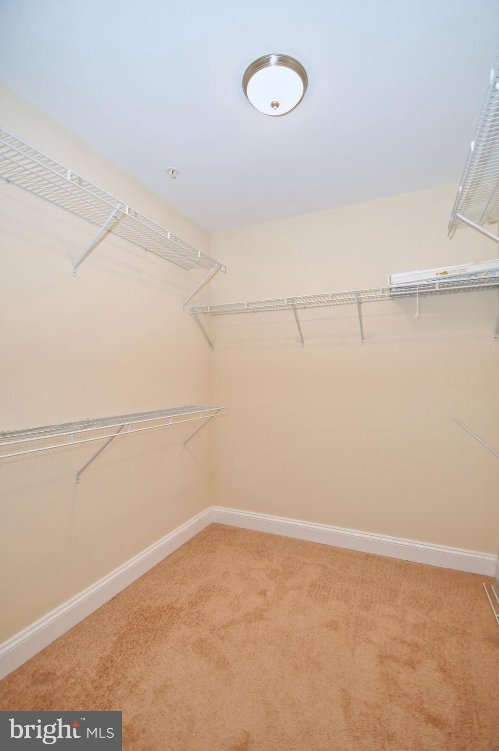 WILLOUGHBY BEACH - Residential