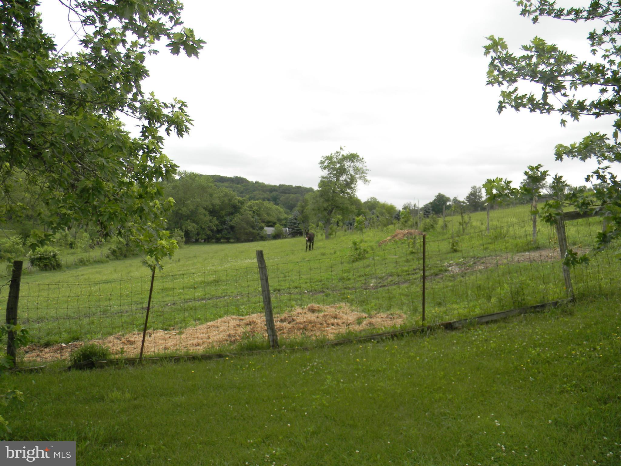 NONE AVAILABLE - Farm