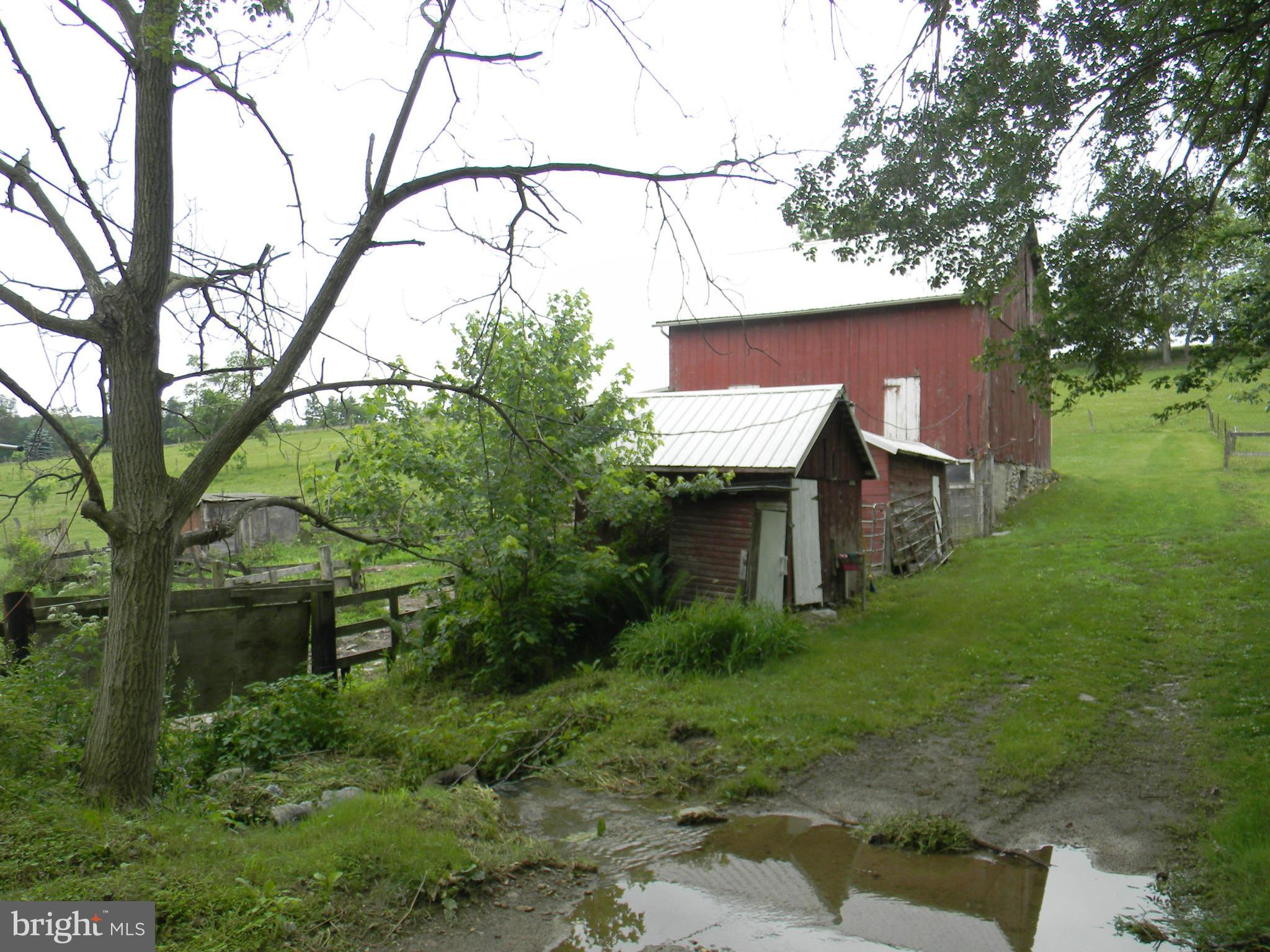 NONE AVAILABLE - Farm