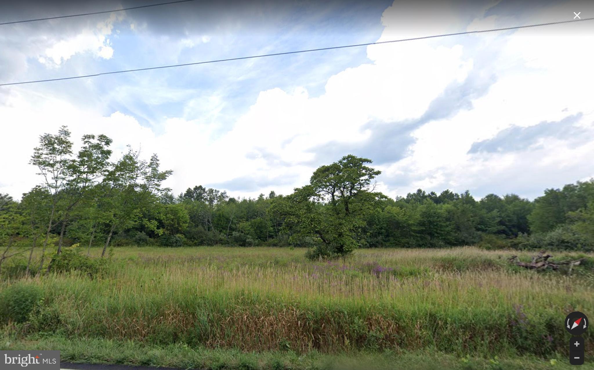 5403 STUMP