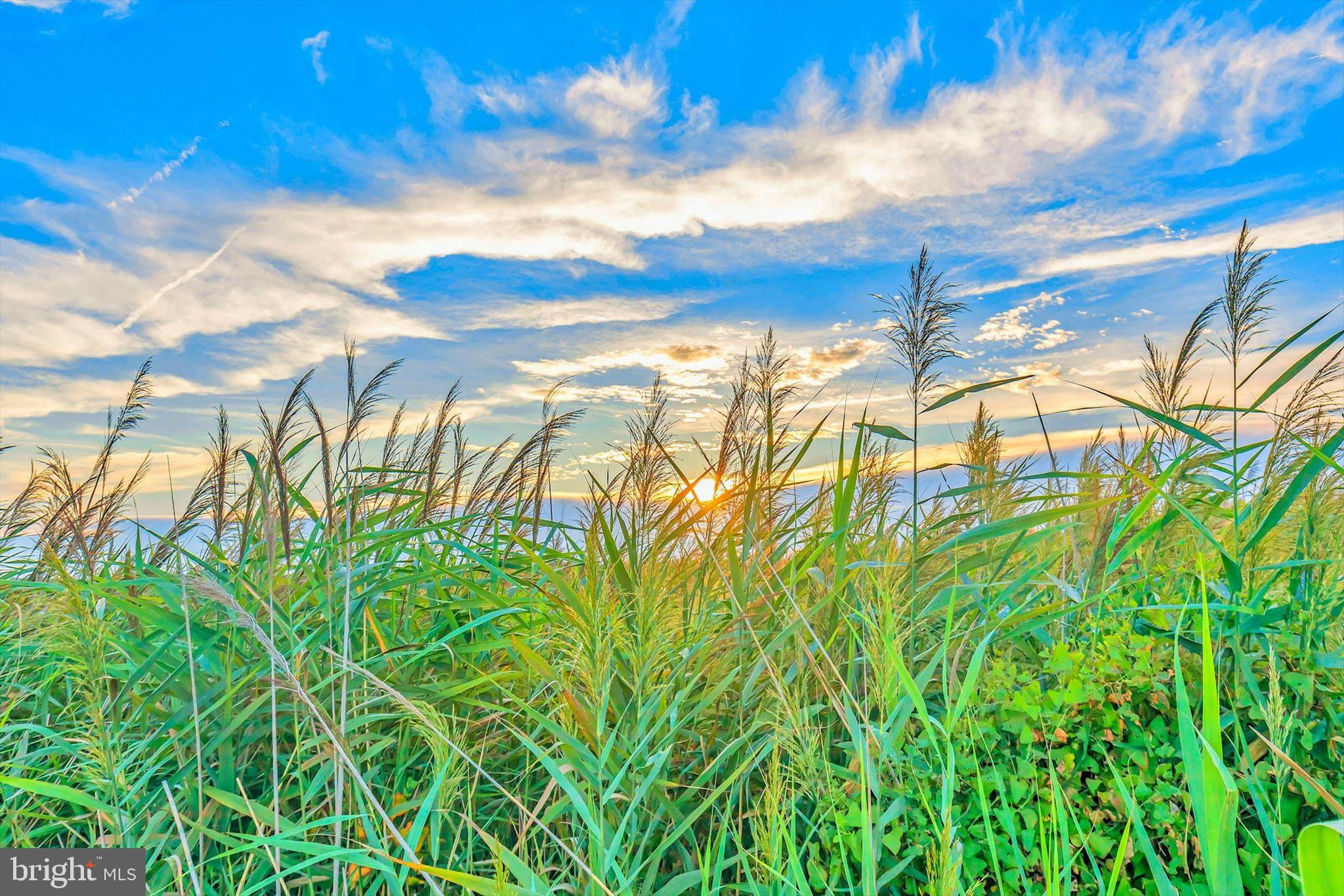 CANNERY VILLAGE - Residential