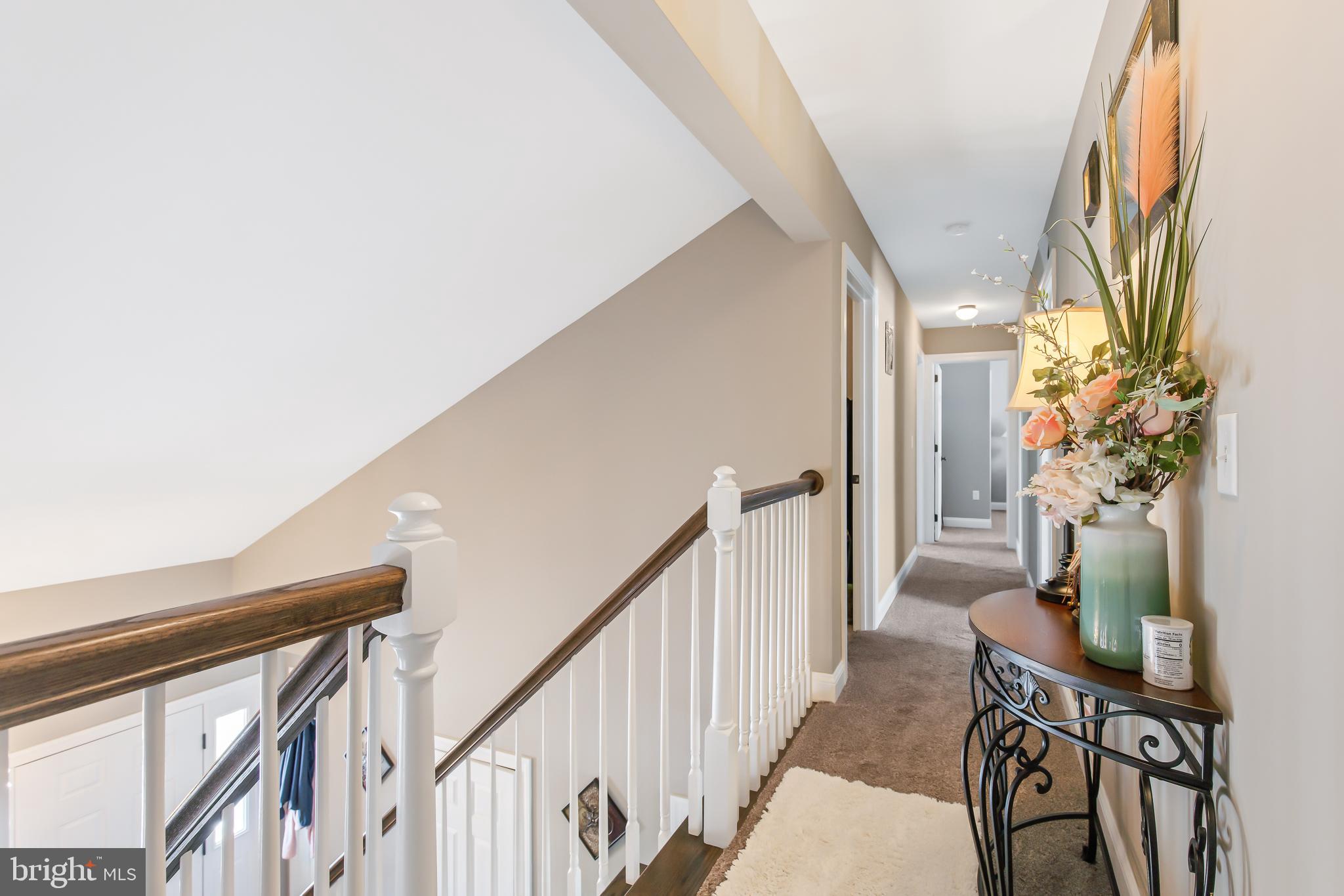 MOUNTAIN MEADOWS - Residential