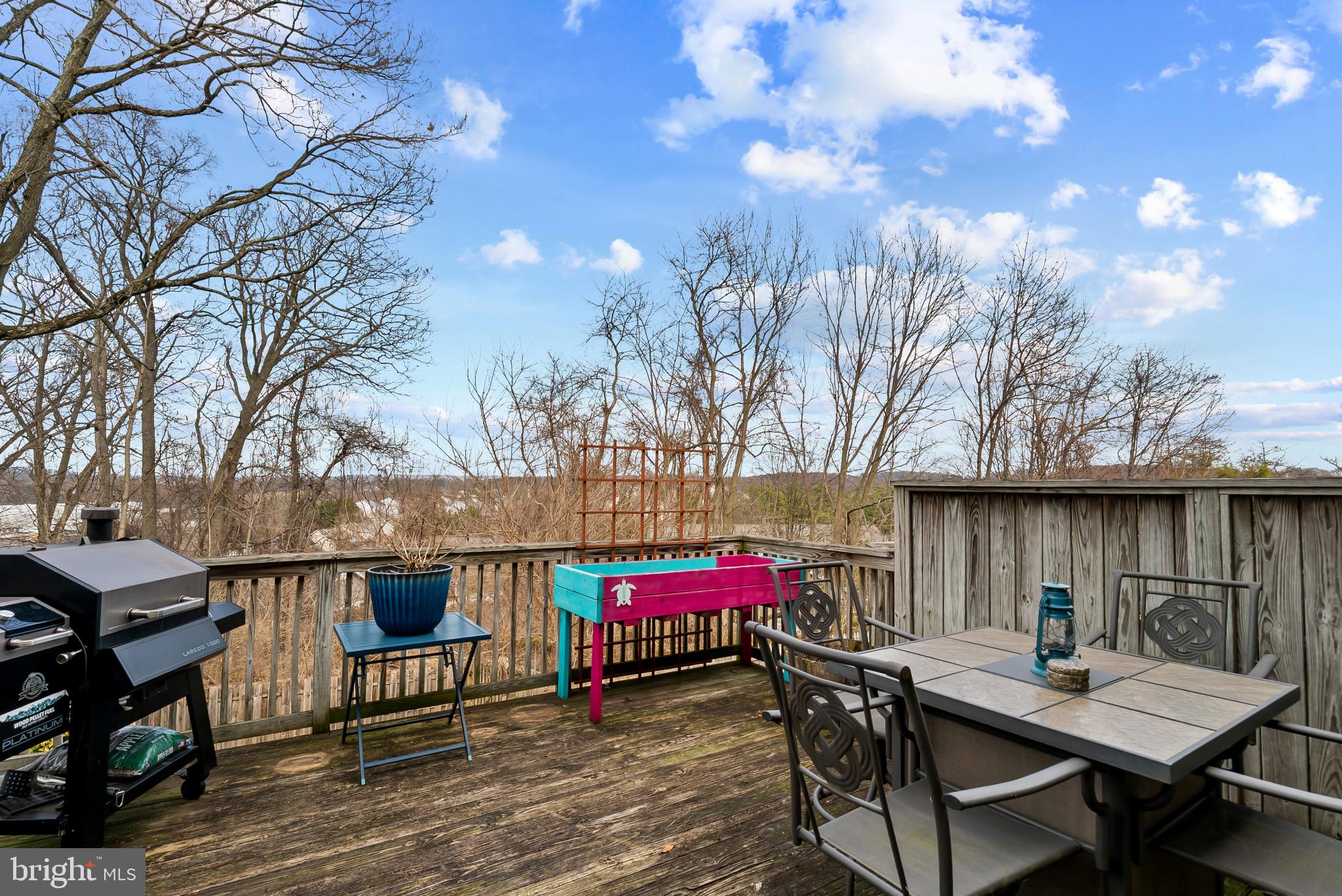 CARROLL MEADOWS - Residential