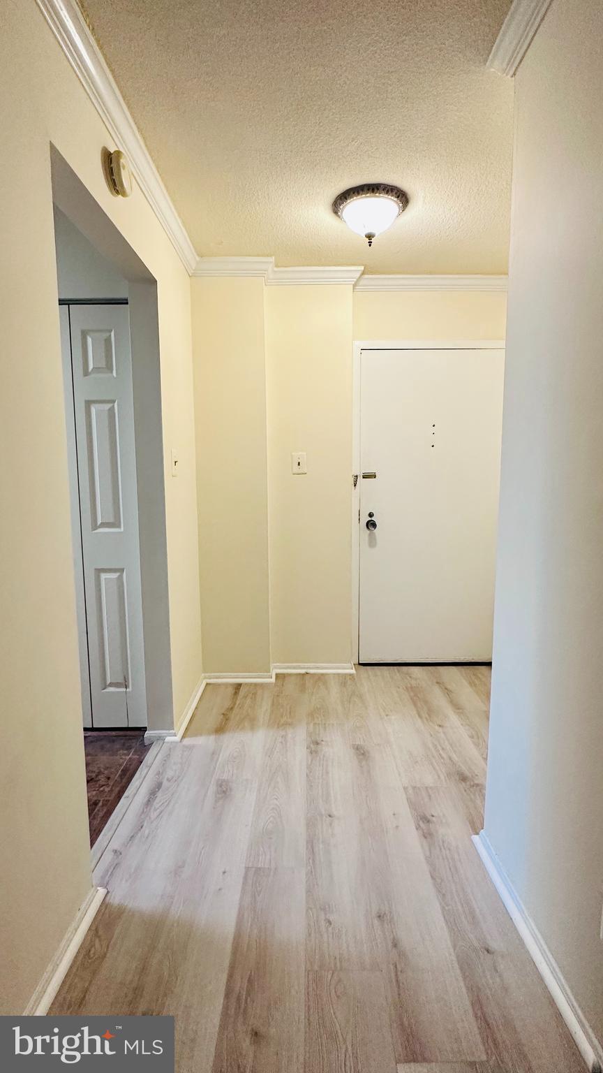 4 MONROE STREET 4-810