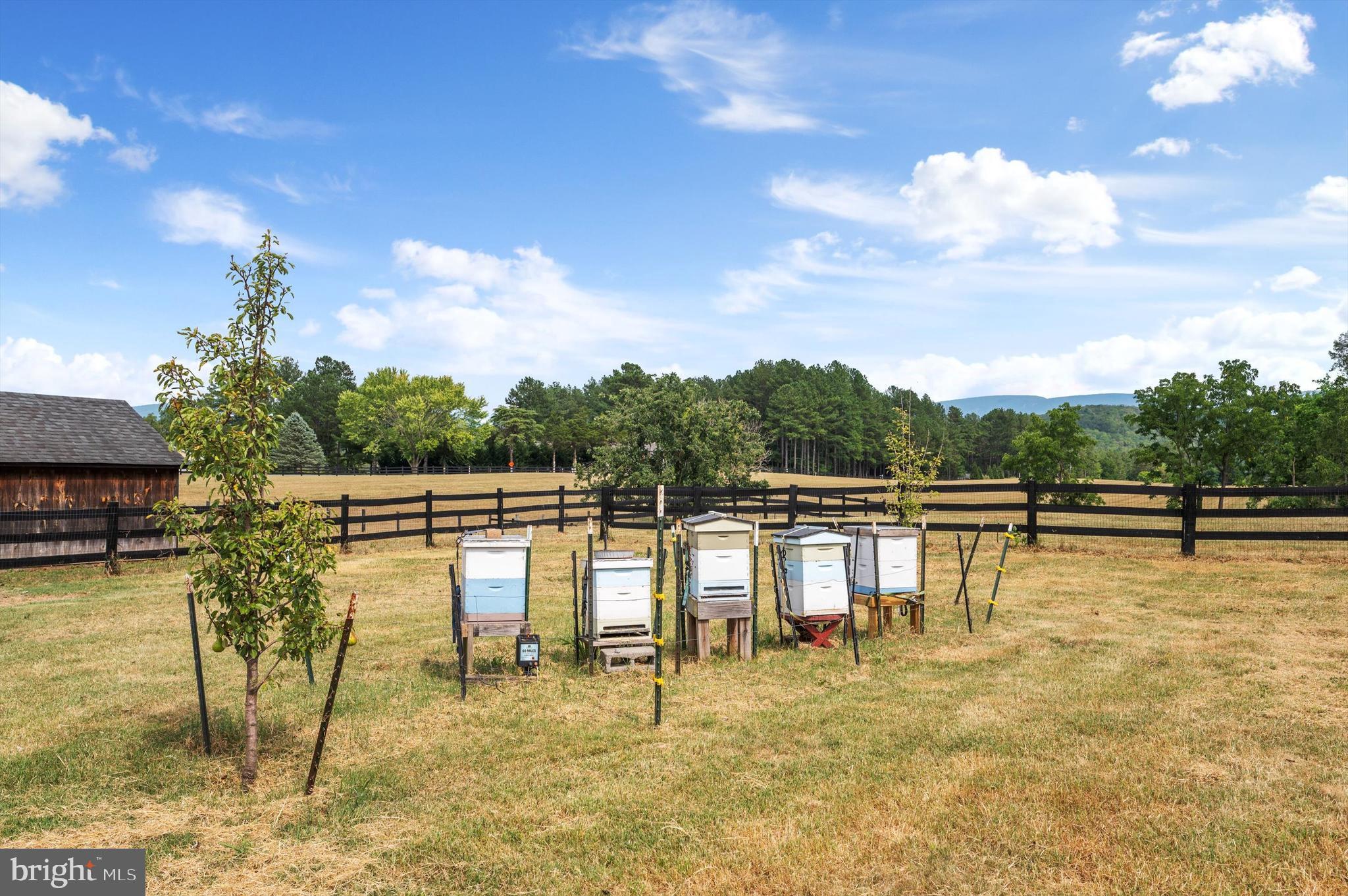 MUNSON LAND - Residential