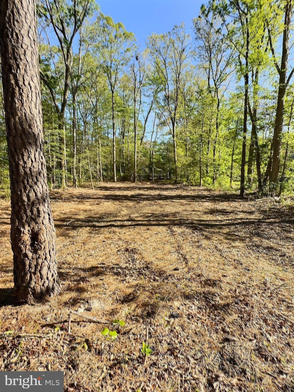 0 SHADY DELL PARK / BIRCH