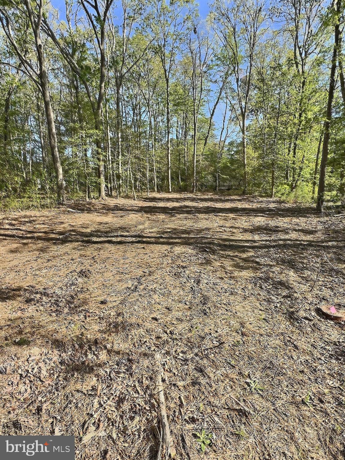 0 SHADY DELL PARK / BIRCH