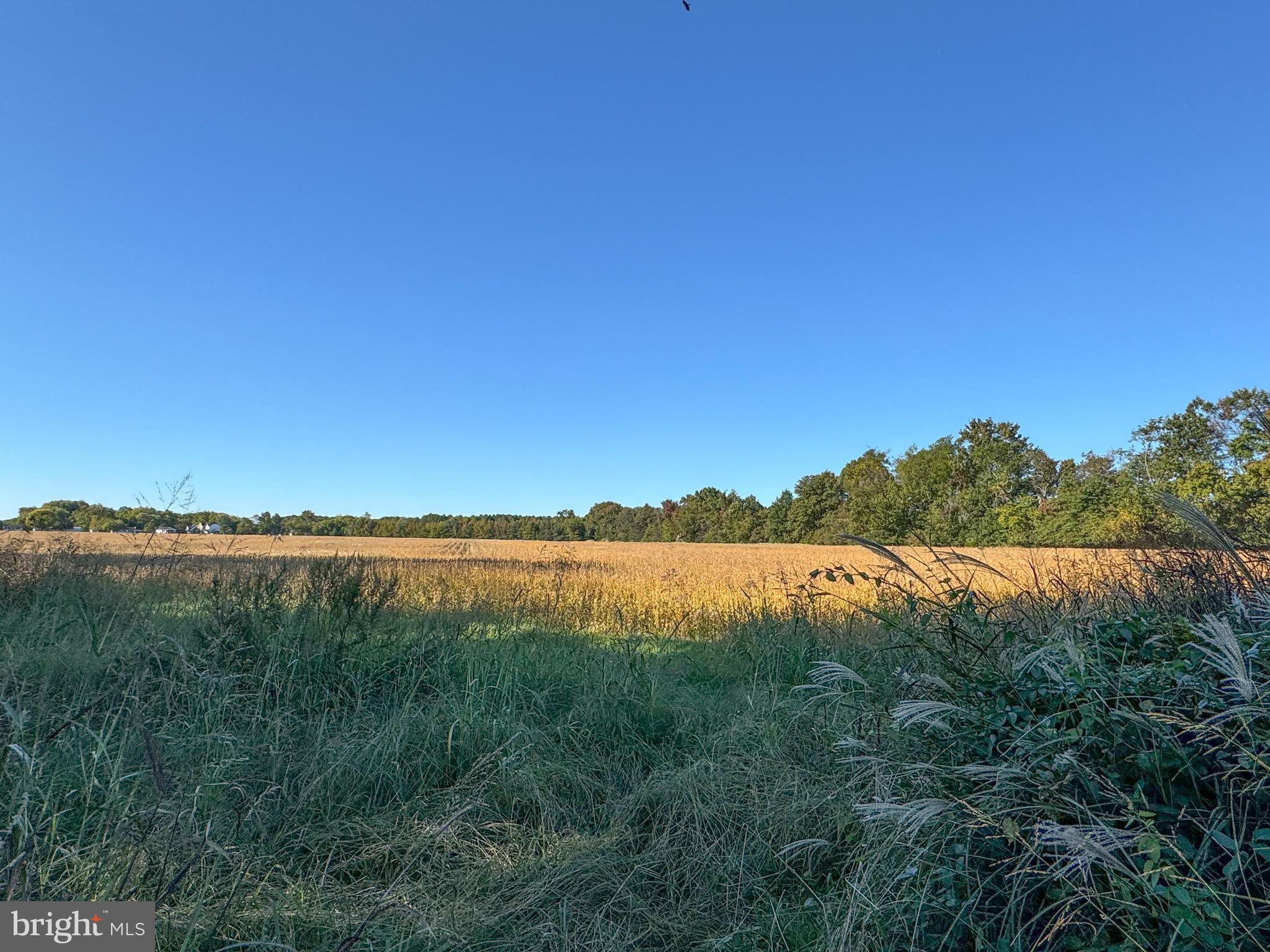 CHESTER - Residential