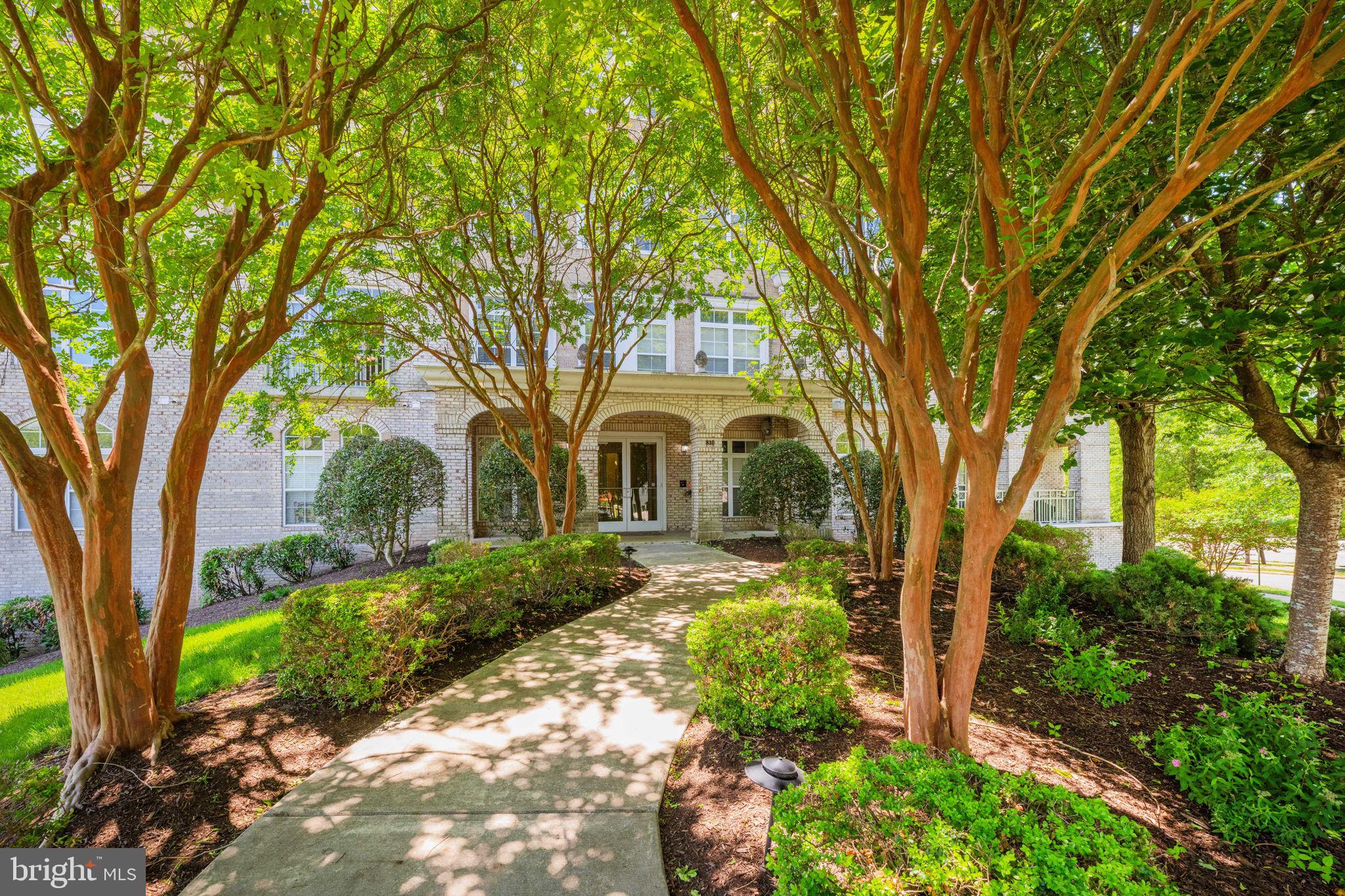810 BELMONT BAY DRIVE 201
