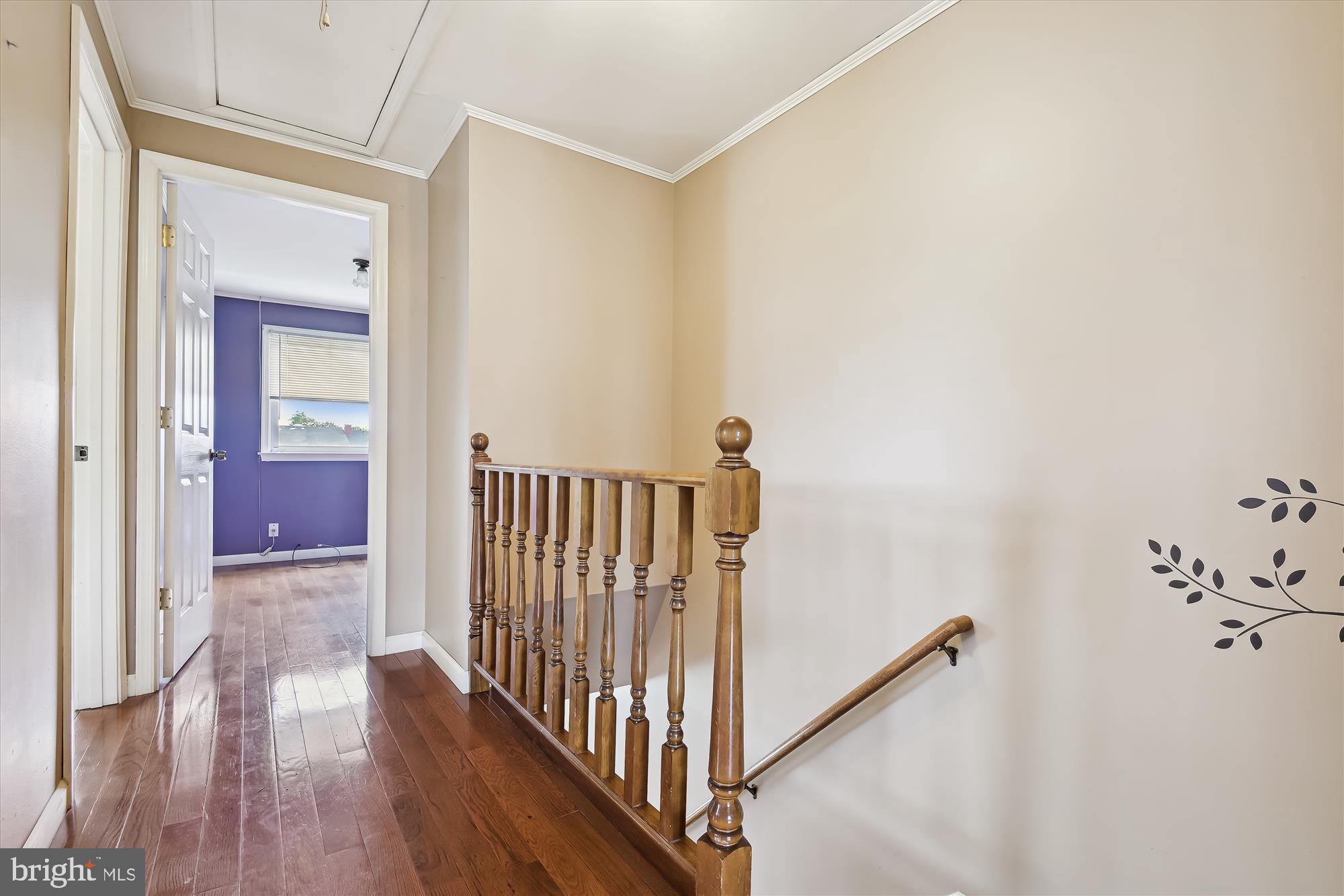 VIOLETVILLE - Residential