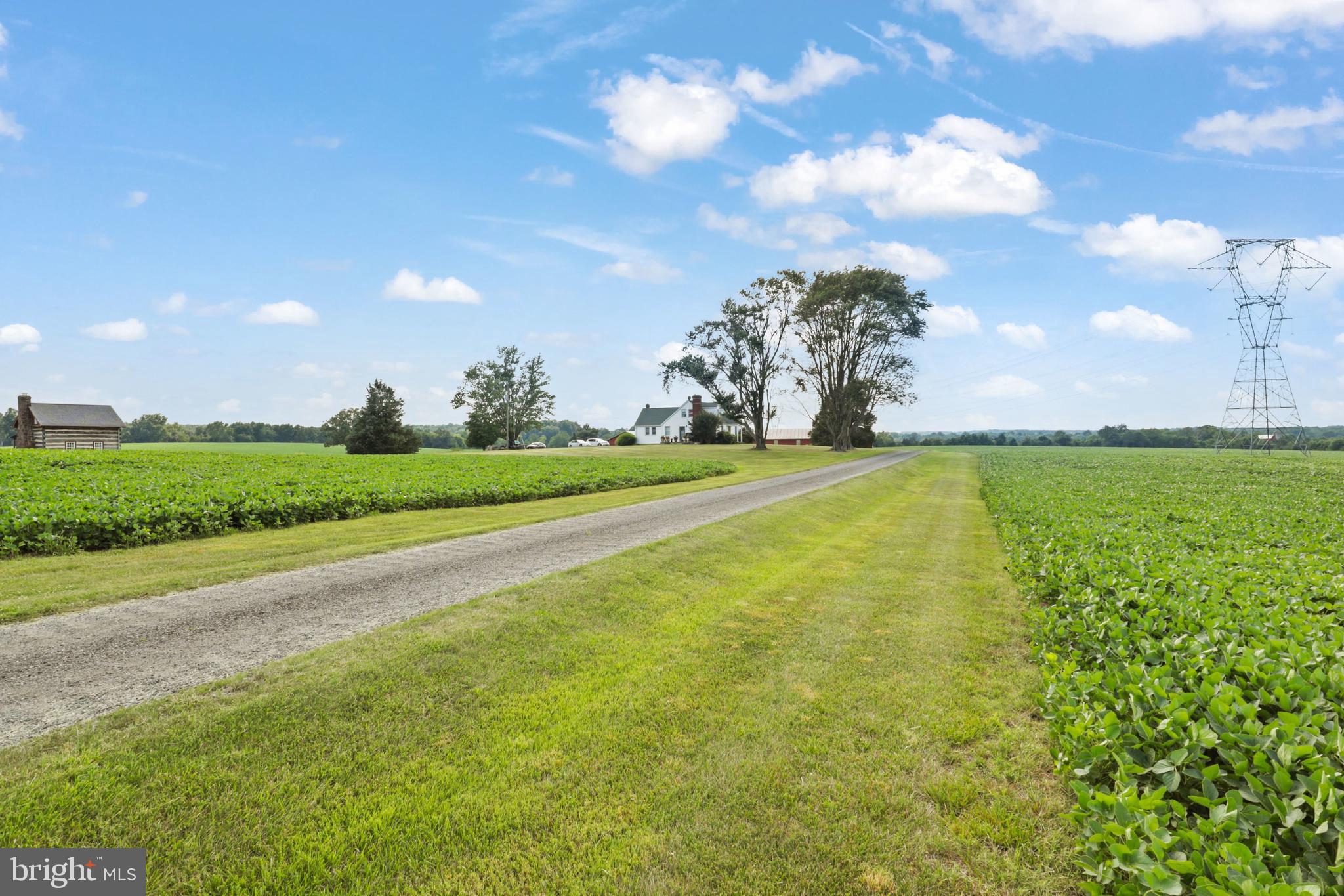 NONE AVAILABLE - Farm