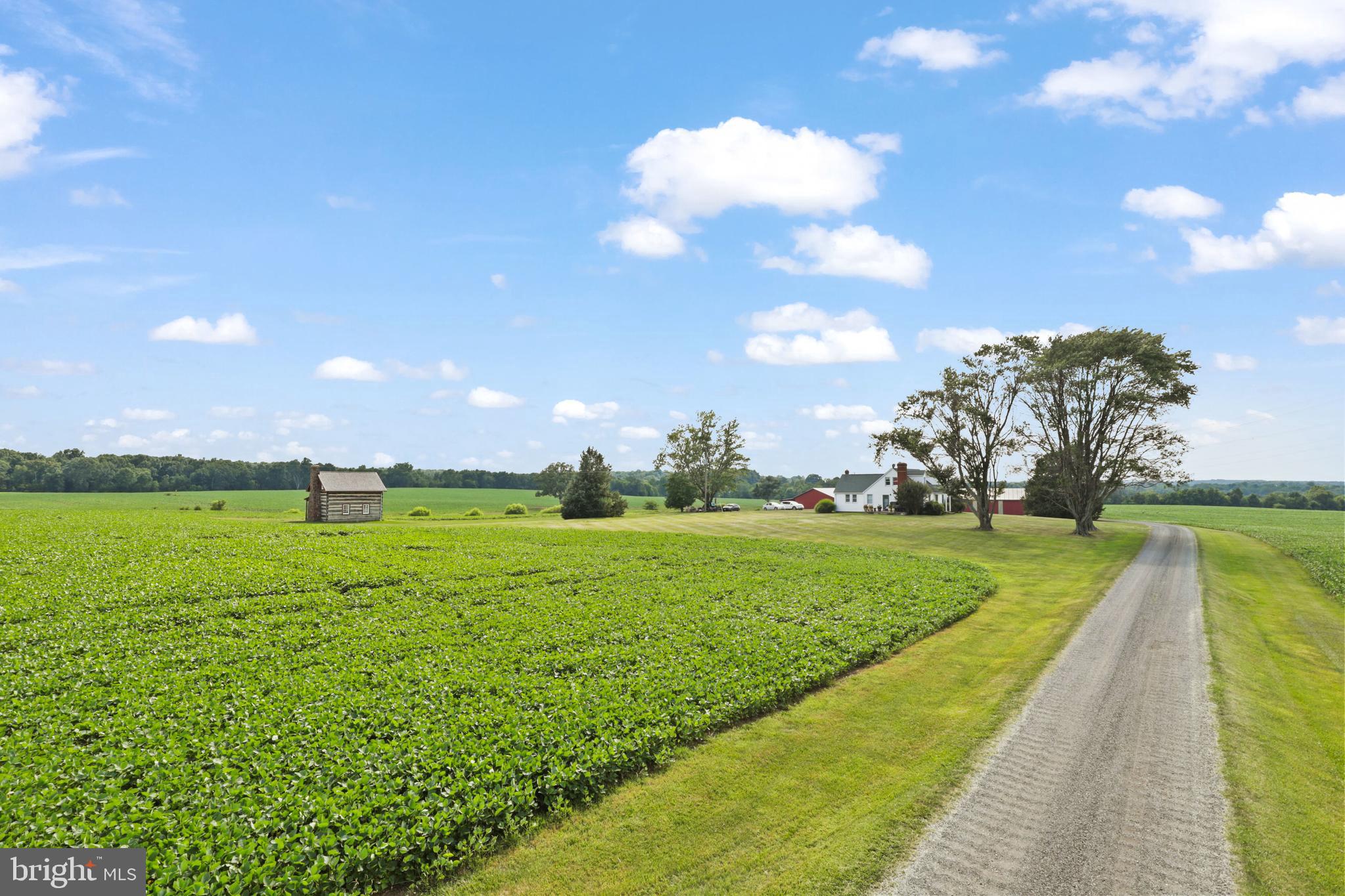 NONE AVAILABLE - Farm