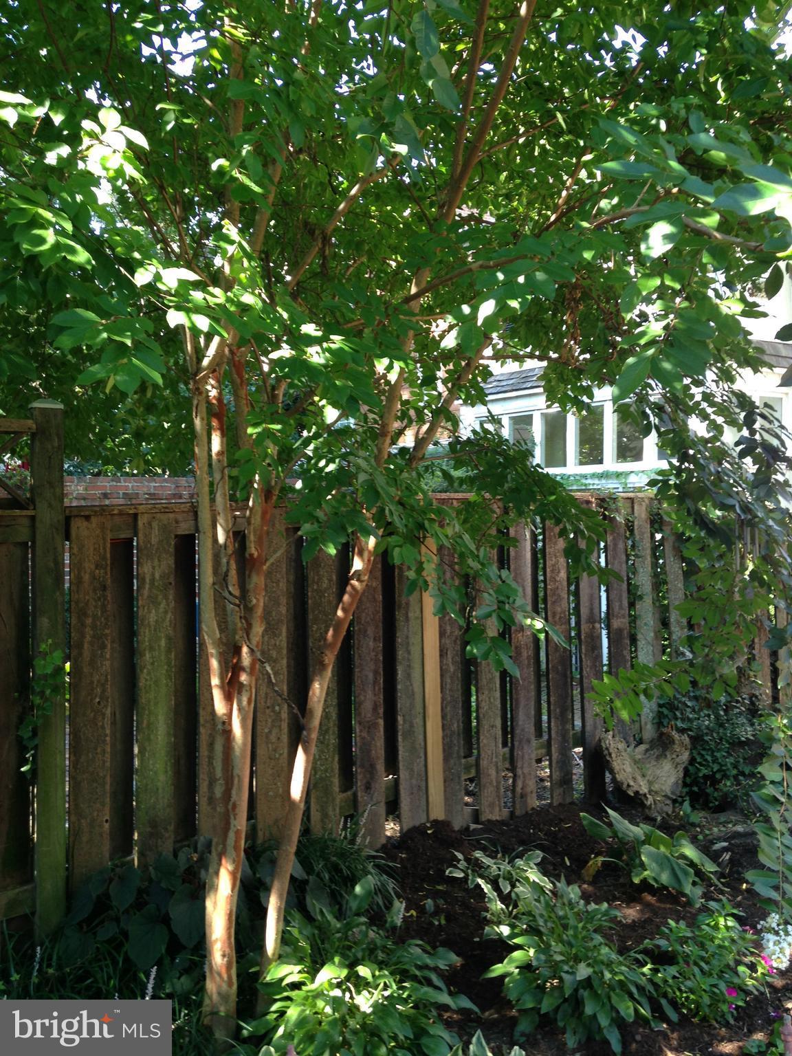 OLD TOWN - Residential