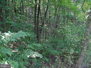 POTOMAC WOODS - Land