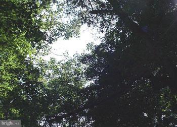 POTOMAC WOODS - Land