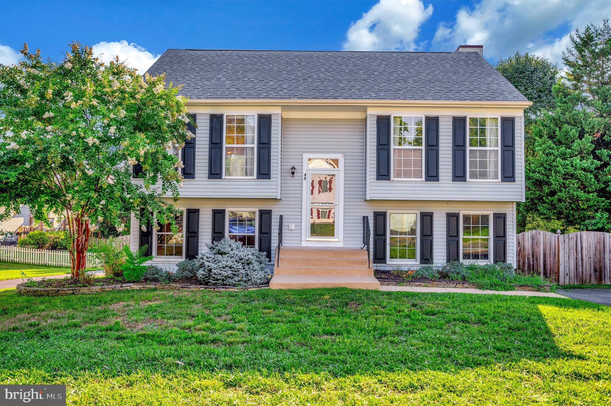 STRATFORD PLACE - Residential