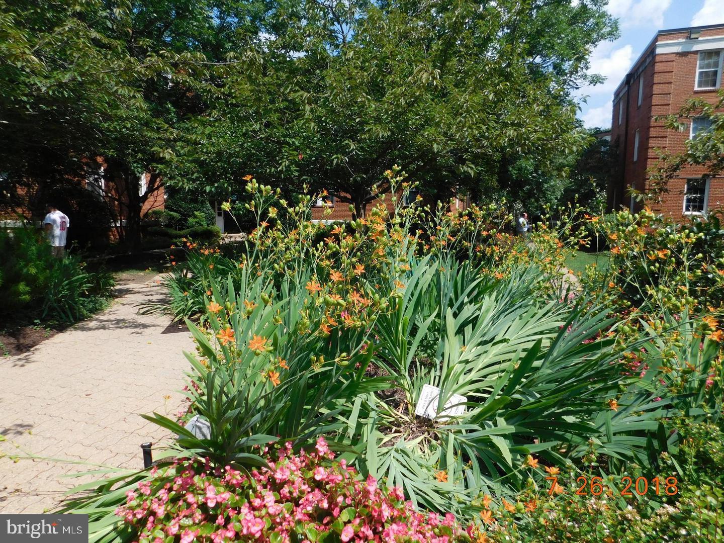 ARBORS OF ARLINGTON - Residential