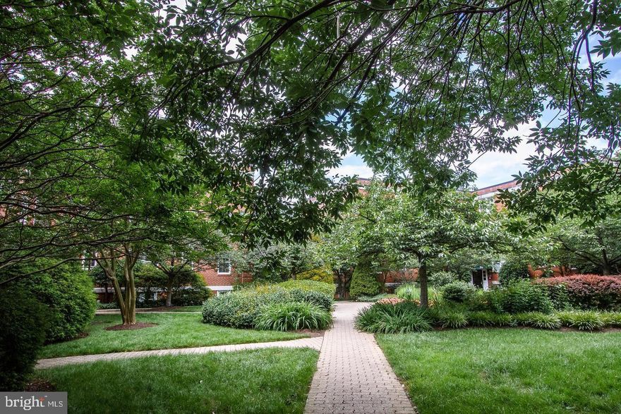 REDUCED FOR A QUICK SALE...DON'T MISS  Stunning and sun-filled condominium in sought after Arbors of Arlington.   A garden community in a courtyard setting.  Lovely foyer with an archway leads you into this spacious home with gleaming hardwood floors, newly renovated kitchen with brand new  stainless steel appliances, fabulous quartz counter top with new sink & new ceramic tiles.  Renovated bathroom.  Freshly painted in turn key condition. Location and Value...you will find both here at this home in Arbors of Arlington, a pet friendly garden community with inviting entrances to each building with a green canopy  plus lush landscaping that includes benches. All this plus  just minutes away from Harris Teeter,  Ballston Quarter, a new urban destination with mouth watering restaurants, entertainment, events, shopping & more. Other options are Clarendon, Columbia Pike, Pentagon City, and Amazon HQ2.  Short walk to TJ Community Center and plenty of parkland! Transportation at your door step with Ballston Metro Station being 1.2 mile away,  easy access to major highways such as I-395, Rt 50, I-66 and Lee Hwy.