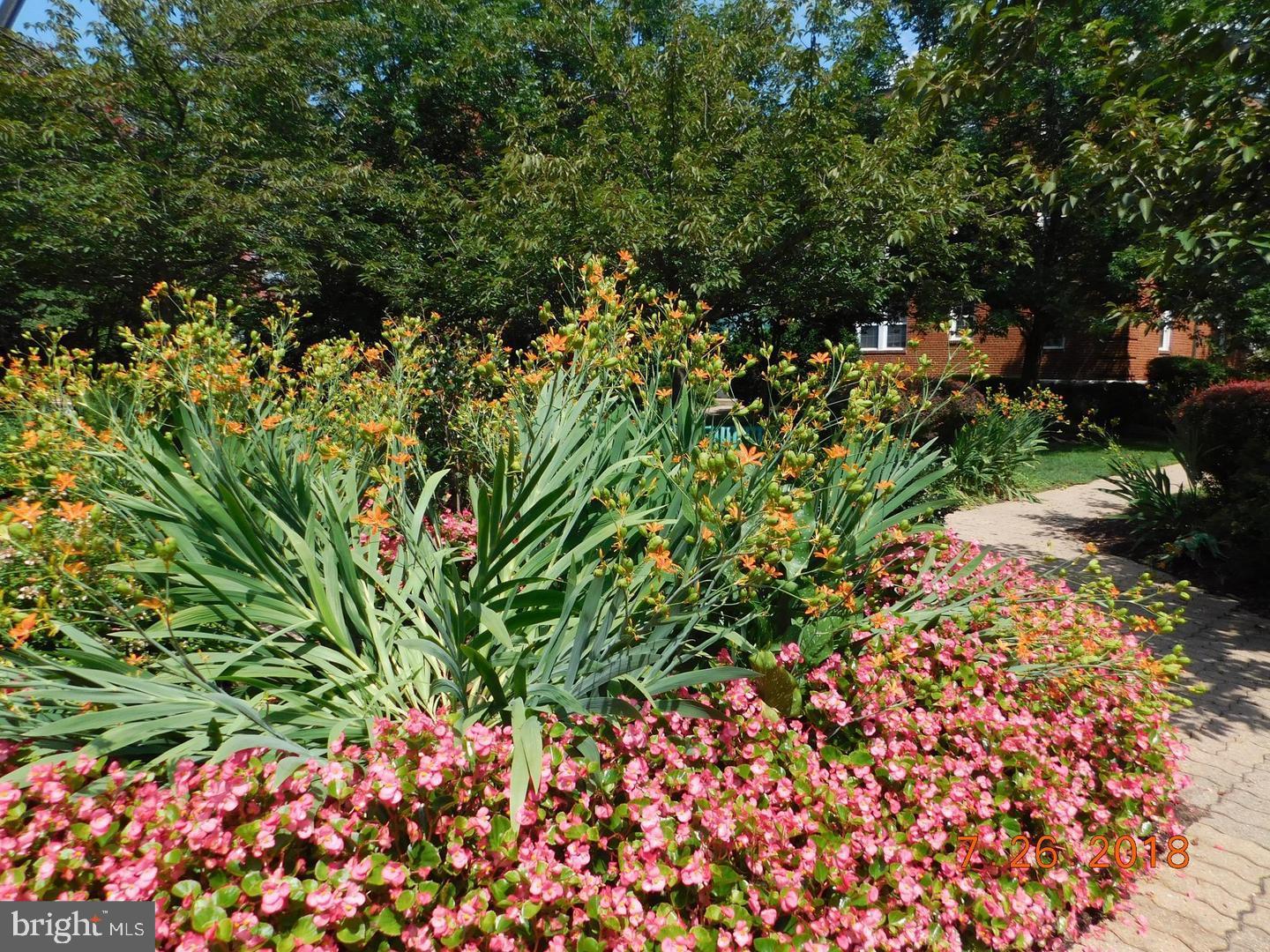 ARBORS OF ARLINGTON - Residential