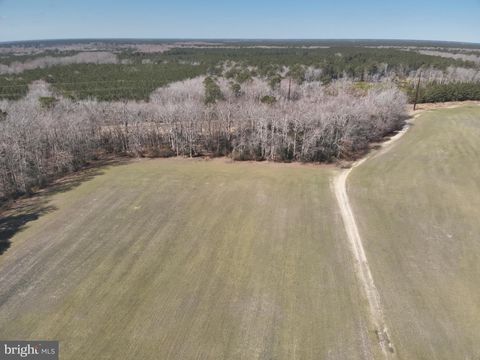 Vacant Land For Sale - Rt 12<br/> SNOW HILL, MD 21863