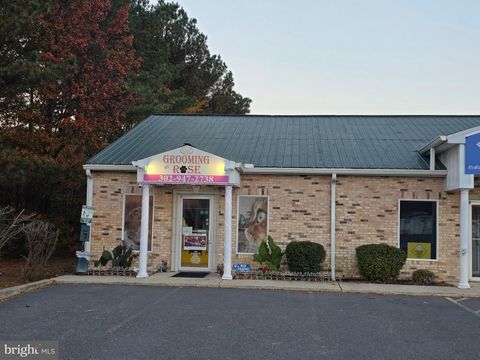 26582 JOHN J WILLIAMS HIGHWAY SUITE 3 MILLSBORO DE 19966