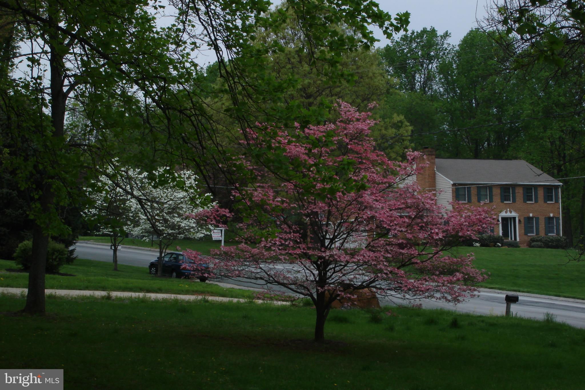 KINGSVILLE - Residential