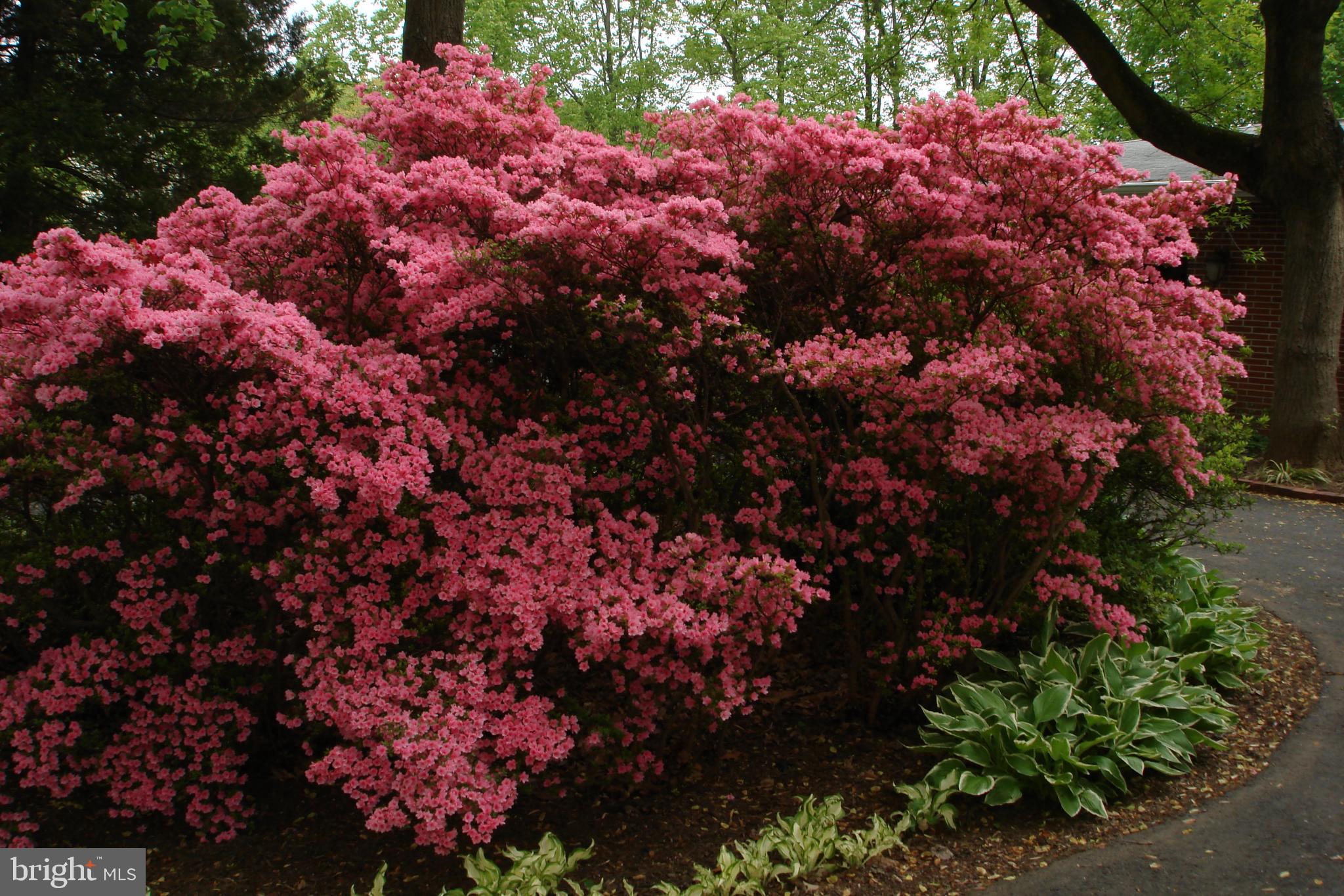 KINGSVILLE - Residential