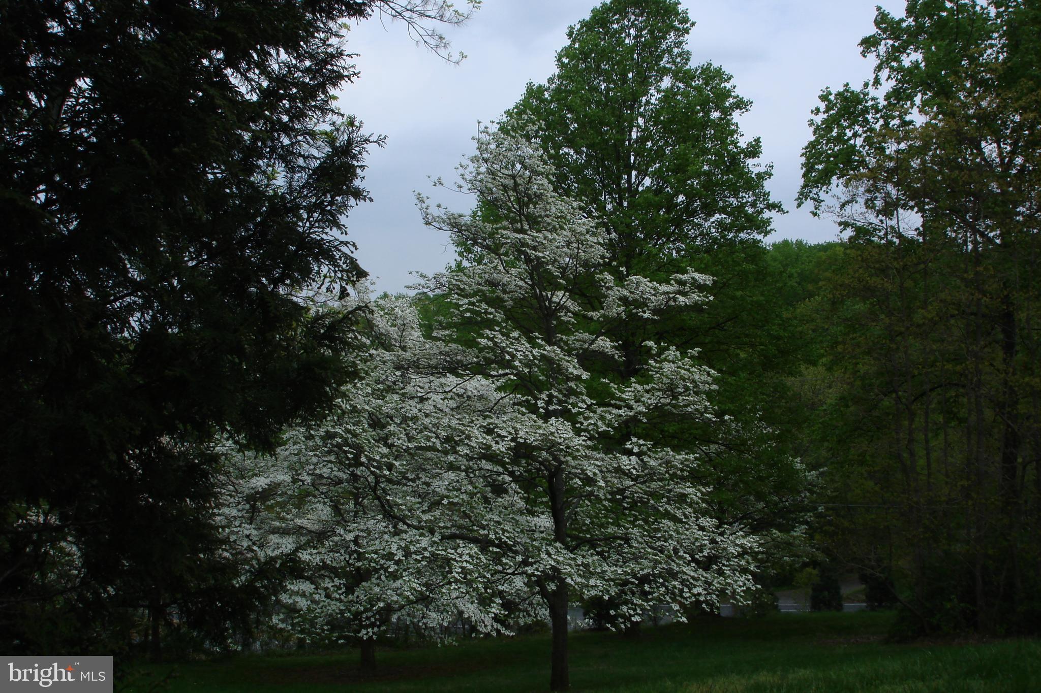 KINGSVILLE - Residential