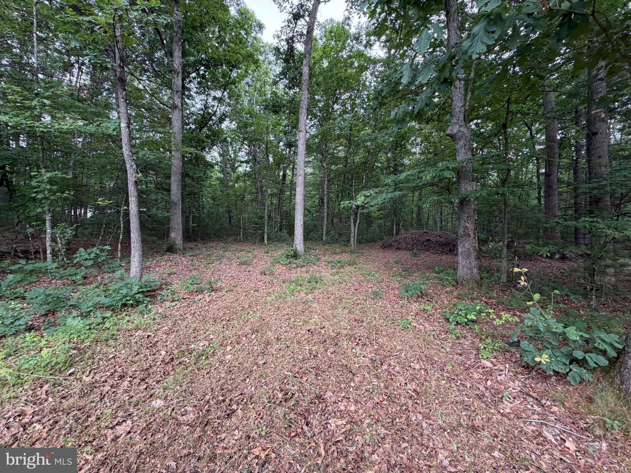 Photo 1 of 18 — Lot 8 2AC GRIZZLY ROAD, MATHIAS, WV 26812