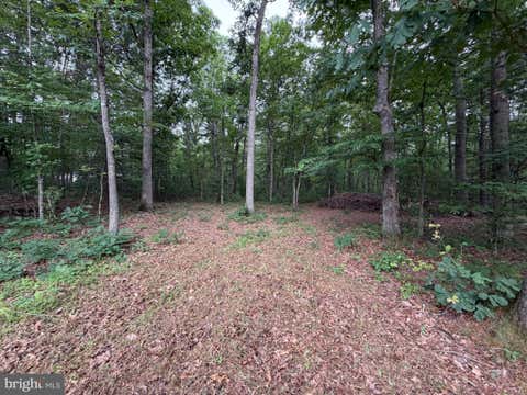 Vacant Land For Sale - LOT 8 2AC Grizzly Road<br/> MATHIAS, WV 26812