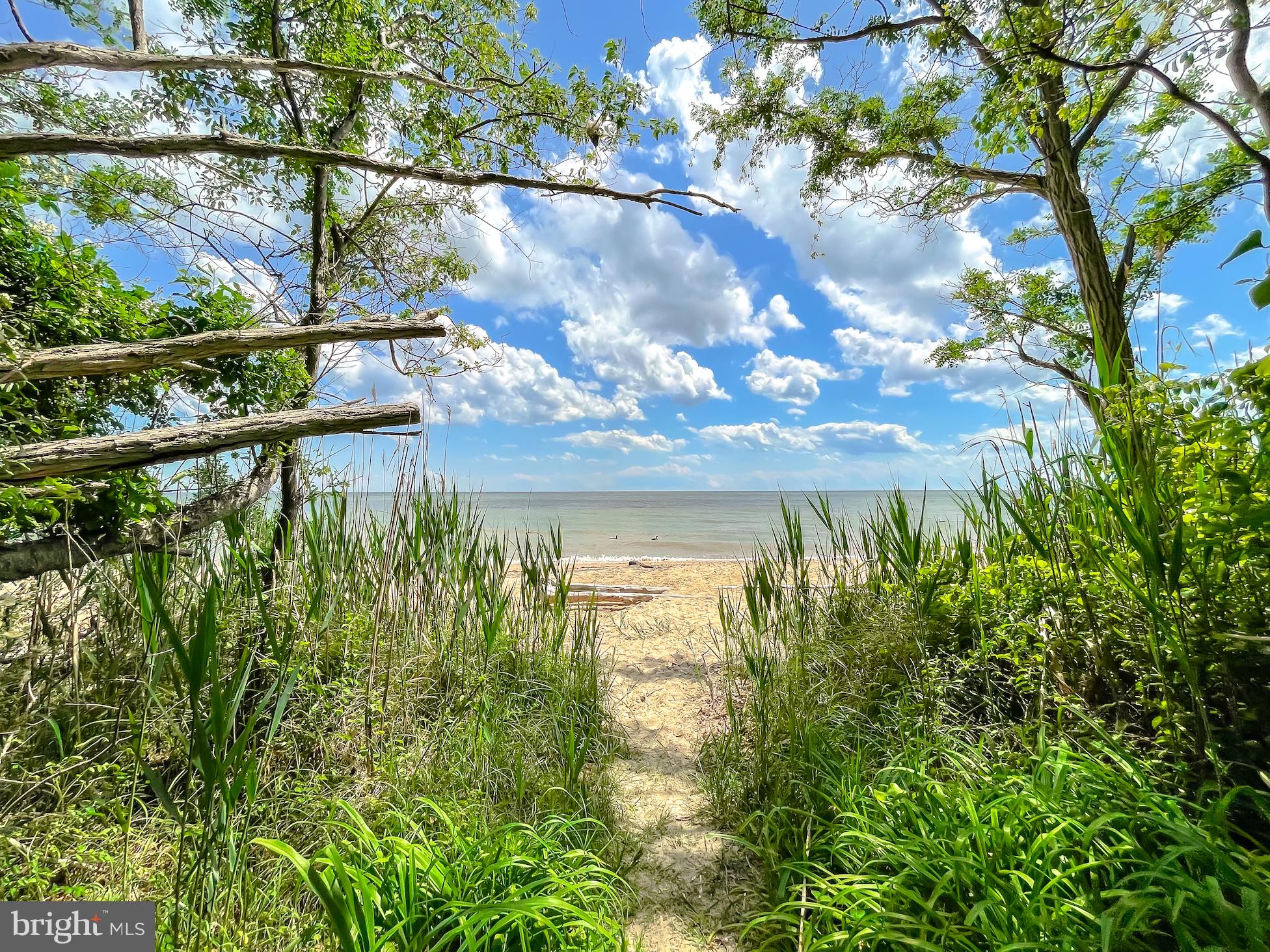 CEDAR COVE - Residential