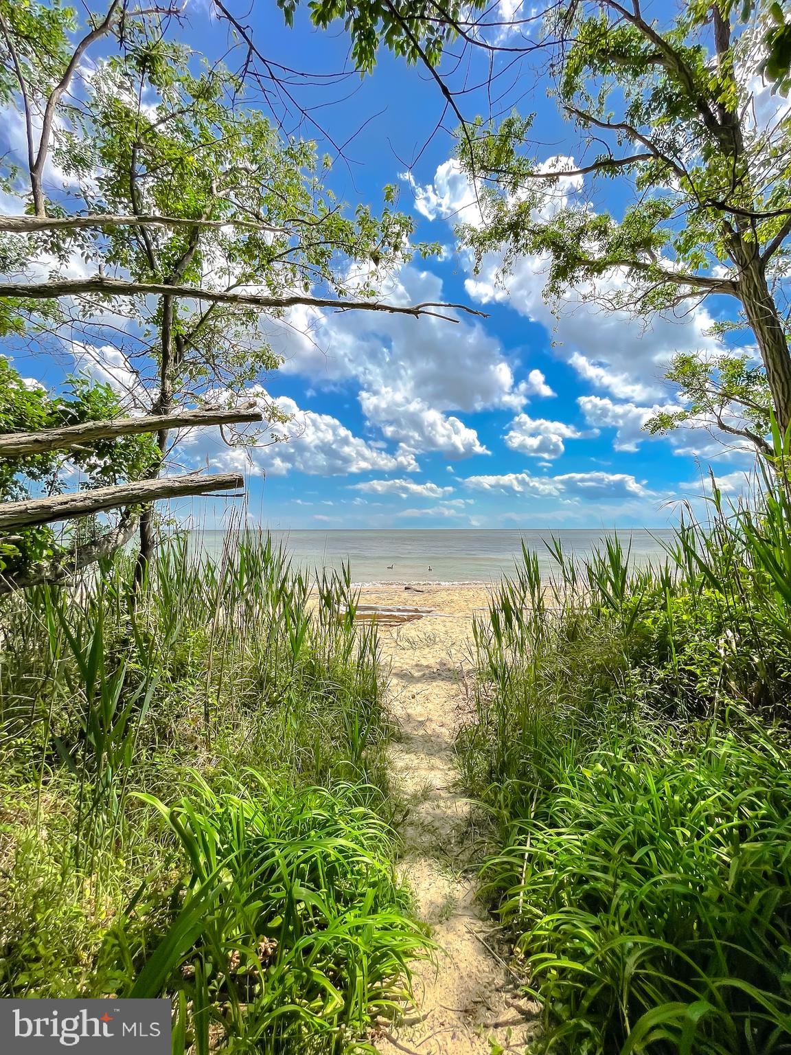 CEDAR COVE - Residential