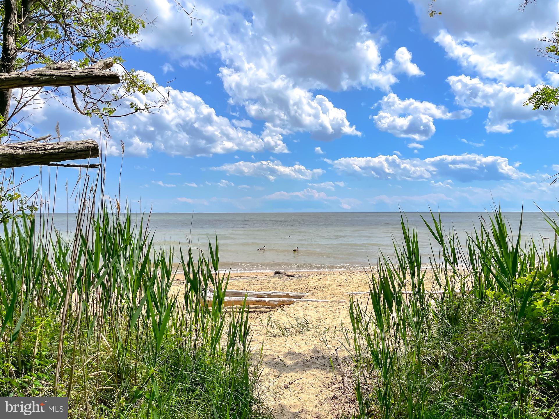 CEDAR COVE - Residential