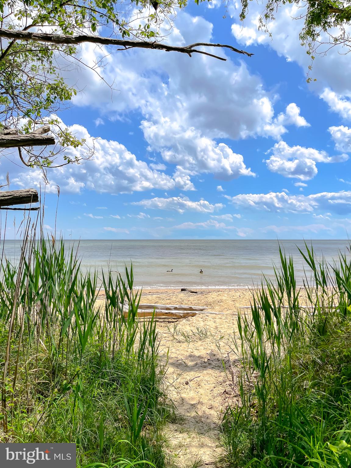 CEDAR COVE - Residential