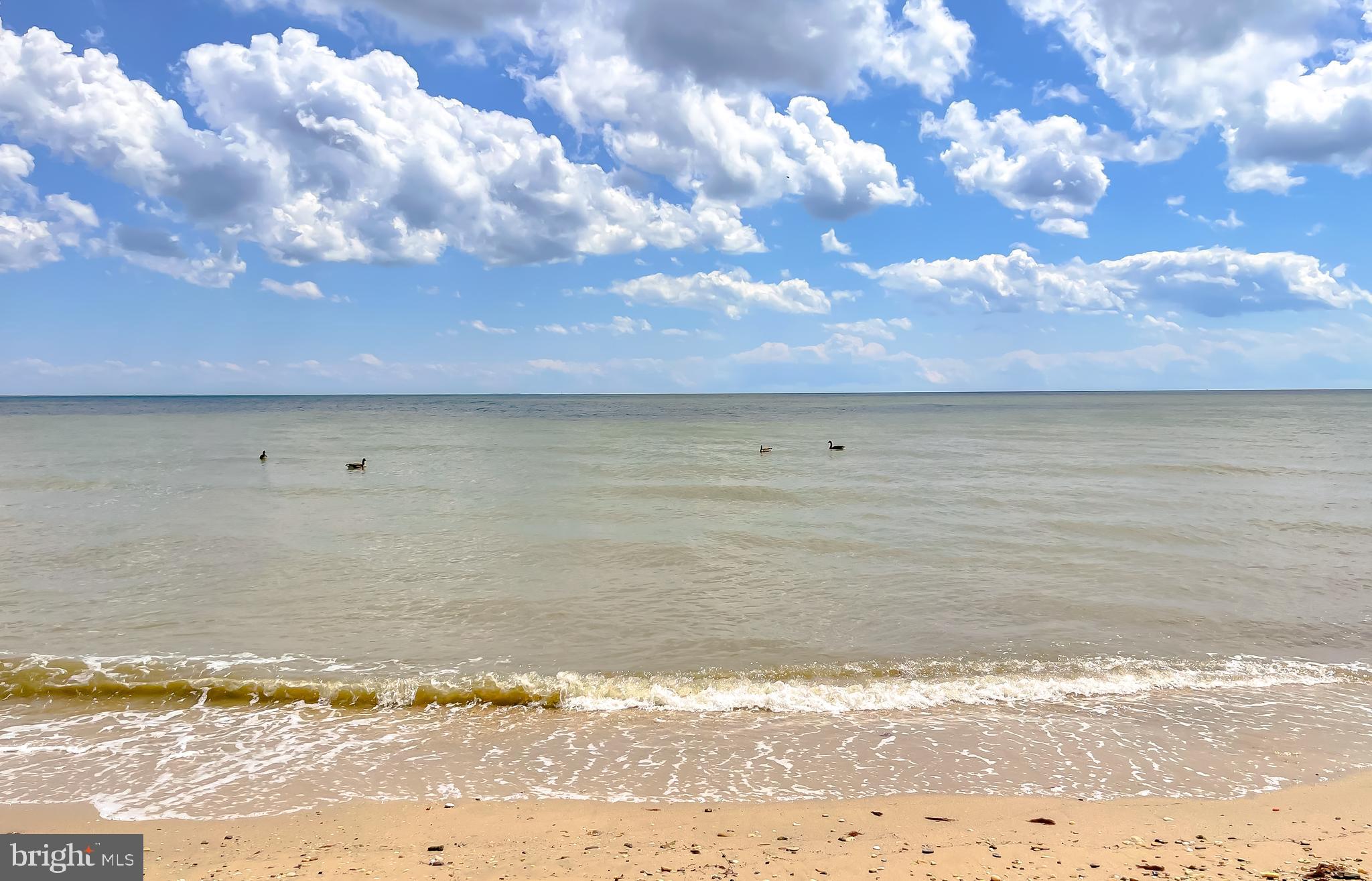 CEDAR COVE - Residential