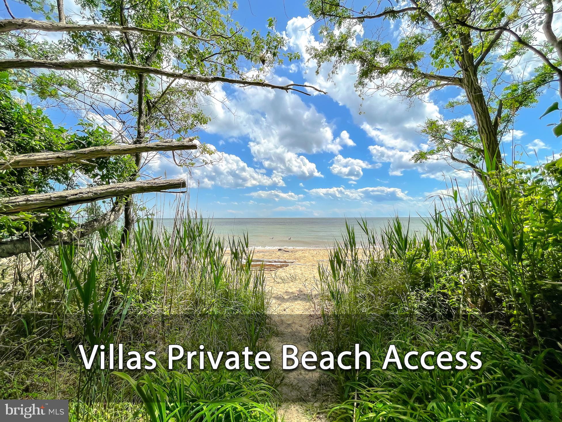 CEDAR COVE - Residential