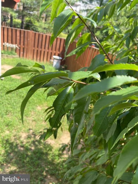 ISLAND CREEK - Residential Lease