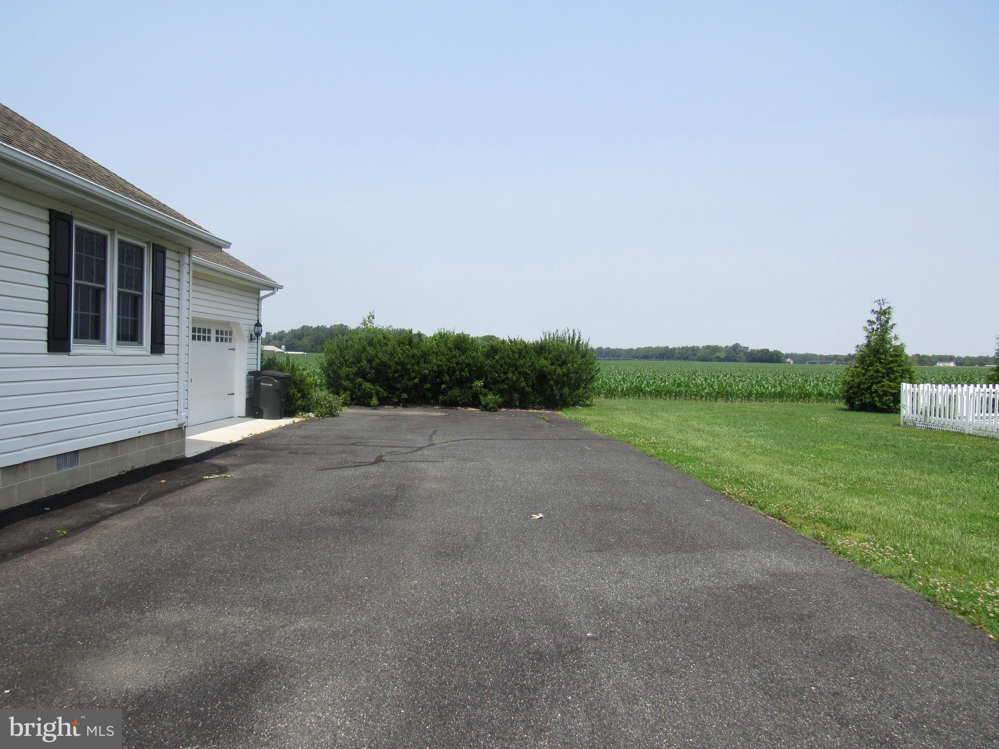 3590 CHOPTANK ROAD