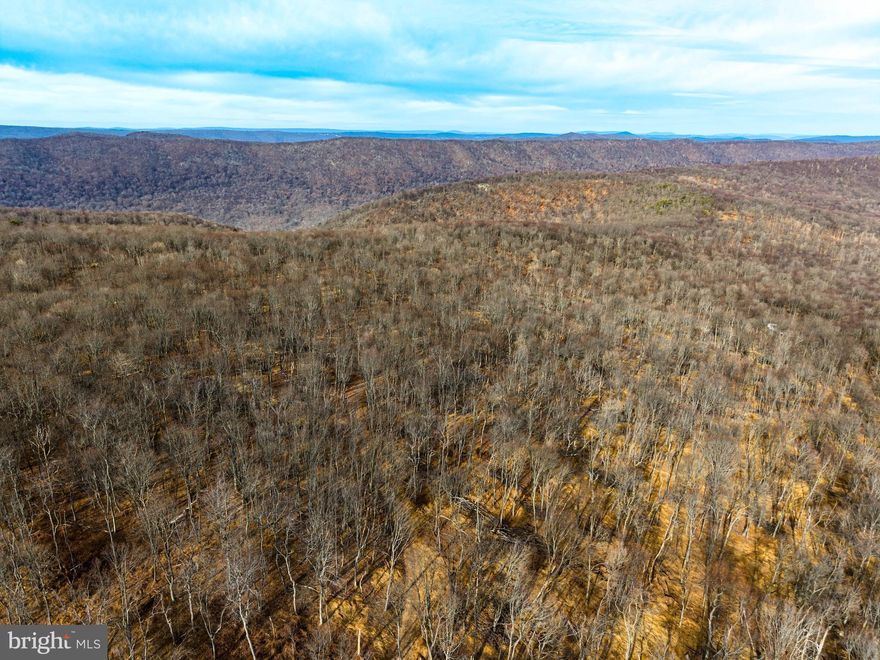 Escape to the ultimate hunting and recreational retreat with this 240.9 +/- acre property nestled in the heart of Franklin County, PA. This expansive tract of land has been recently select-cut, allowing for the natural regrowth that creates an ideal habitat for whitetail deer, black bear, wild turkey, and abundant small game. Whether you're an avid hunter, outdoor enthusiast, or someone looking for the perfect secluded getaway, this land offers endless possibilities.

One of the property’s most remarkable features is its direct border with Pennsylvania State Game Lands 235, expanding your access to even more hunting and outdoor opportunities. The nearby Buchanan State Forest provides thousands of additional acres for hiking, camping, and wildlife exploration, while the Letterkenny Army Depot region contributes to the area’s rich history and conservation efforts. For year-round adventure, the property is just a short drive from Whitetail Ski Resort in Mercersburg, making it an ideal destination for those who love both winter sports and outdoor recreation.

Tucked away in complete seclusion, this property is perfect for those who crave peace, quiet, and rural living. With a recorded right-of-way providing legal access, you’ll enjoy both the convenience of entry and the privacy of a truly off-the-beaten-path escape. Whether you envision building your dream hunting cabin, rustic lodge, or even an off-grid homestead, this land offers the space and serenity to create your ideal retreat.

This is more than just a piece of land—it’s an opportunity to own a true hunter’s paradise in a prime location with unmatched wildlife, recreation, and investment potential. Don’t miss your chance to secure this incredible property and experience the best that Pennsylvania’s great outdoors has to offer. Schedule your private tour today!