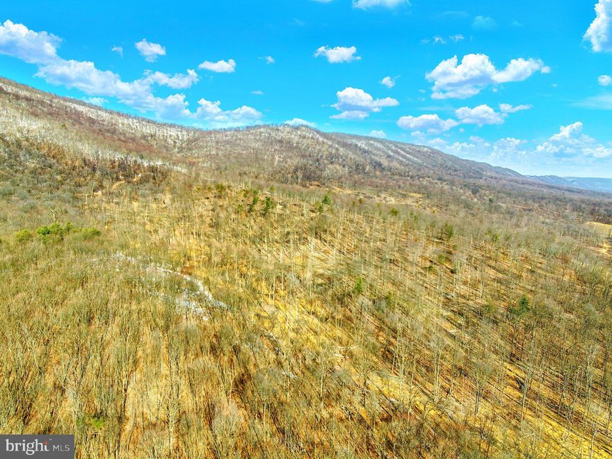 Escape to the ultimate hunting and recreational retreat with this 240.9 +/- acre property nestled in the heart of Franklin County, PA. This expansive tract of land has been recently select-cut, allowing for the natural regrowth that creates an ideal habitat for whitetail deer, black bear, wild turkey, and abundant small game. Whether you're an avid hunter, outdoor enthusiast, or someone looking for the perfect secluded getaway, this land offers endless possibilities.

One of the property’s most remarkable features is its direct border with Pennsylvania State Game Lands 235, expanding your access to even more hunting and outdoor opportunities. The nearby Buchanan State Forest provides thousands of additional acres for hiking, camping, and wildlife exploration, while the Letterkenny Army Depot region contributes to the area’s rich history and conservation efforts. For year-round adventure, the property is just a short drive from Whitetail Ski Resort in Mercersburg, making it an ideal destination for those who love both winter sports and outdoor recreation.

Tucked away in complete seclusion, this property is perfect for those who crave peace, quiet, and rural living. With a recorded right-of-way providing legal access, you’ll enjoy both the convenience of entry and the privacy of a truly off-the-beaten-path escape. Whether you envision building your dream hunting cabin, rustic lodge, or even an off-grid homestead, this land offers the space and serenity to create your ideal retreat.

This is more than just a piece of land—it’s an opportunity to own a true hunter’s paradise in a prime location with unmatched wildlife, recreation, and investment potential. Don’t miss your chance to secure this incredible property and experience the best that Pennsylvania’s great outdoors has to offer. Schedule your private tour today!