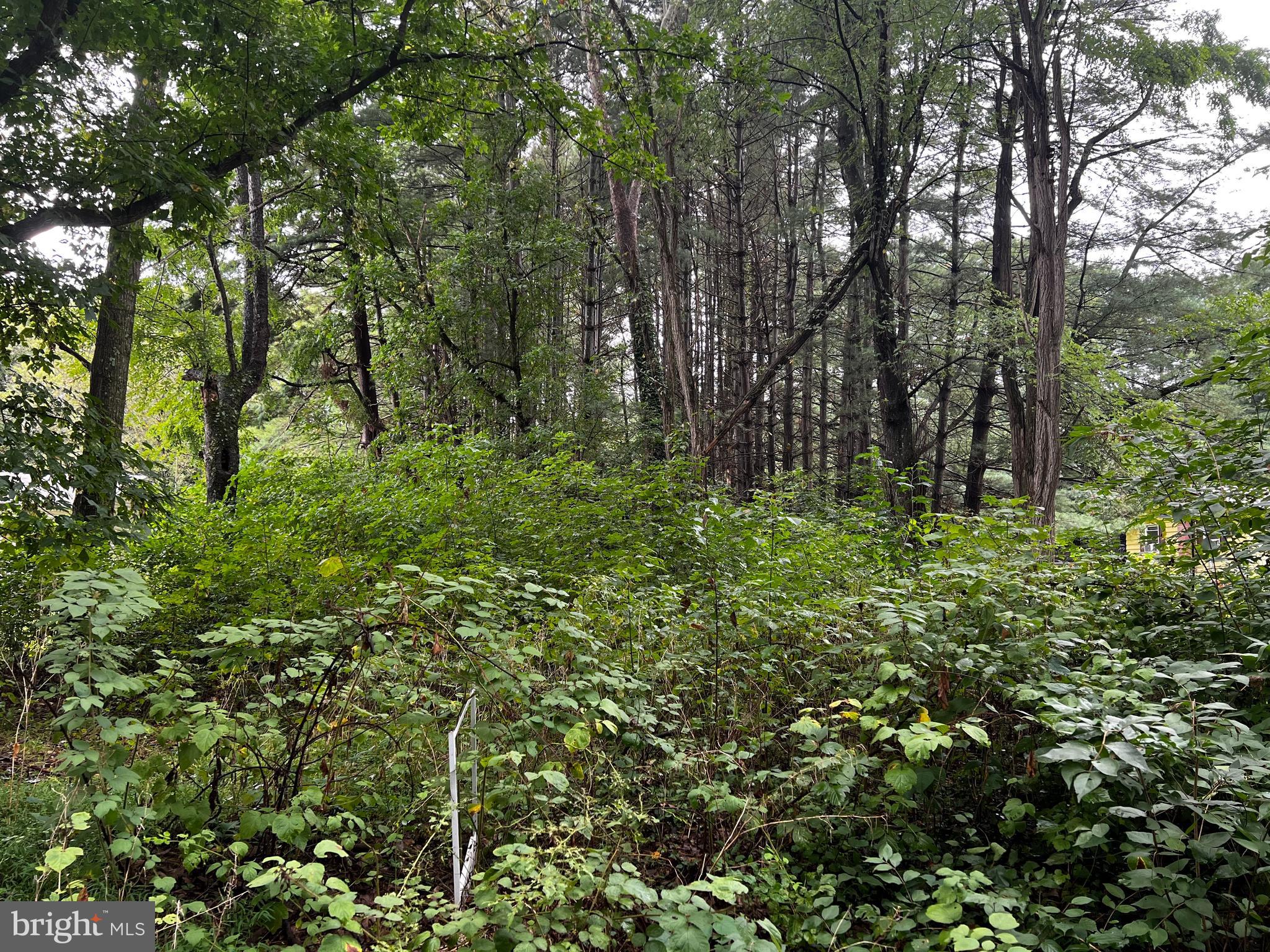 WOBURN ESTATES - Land