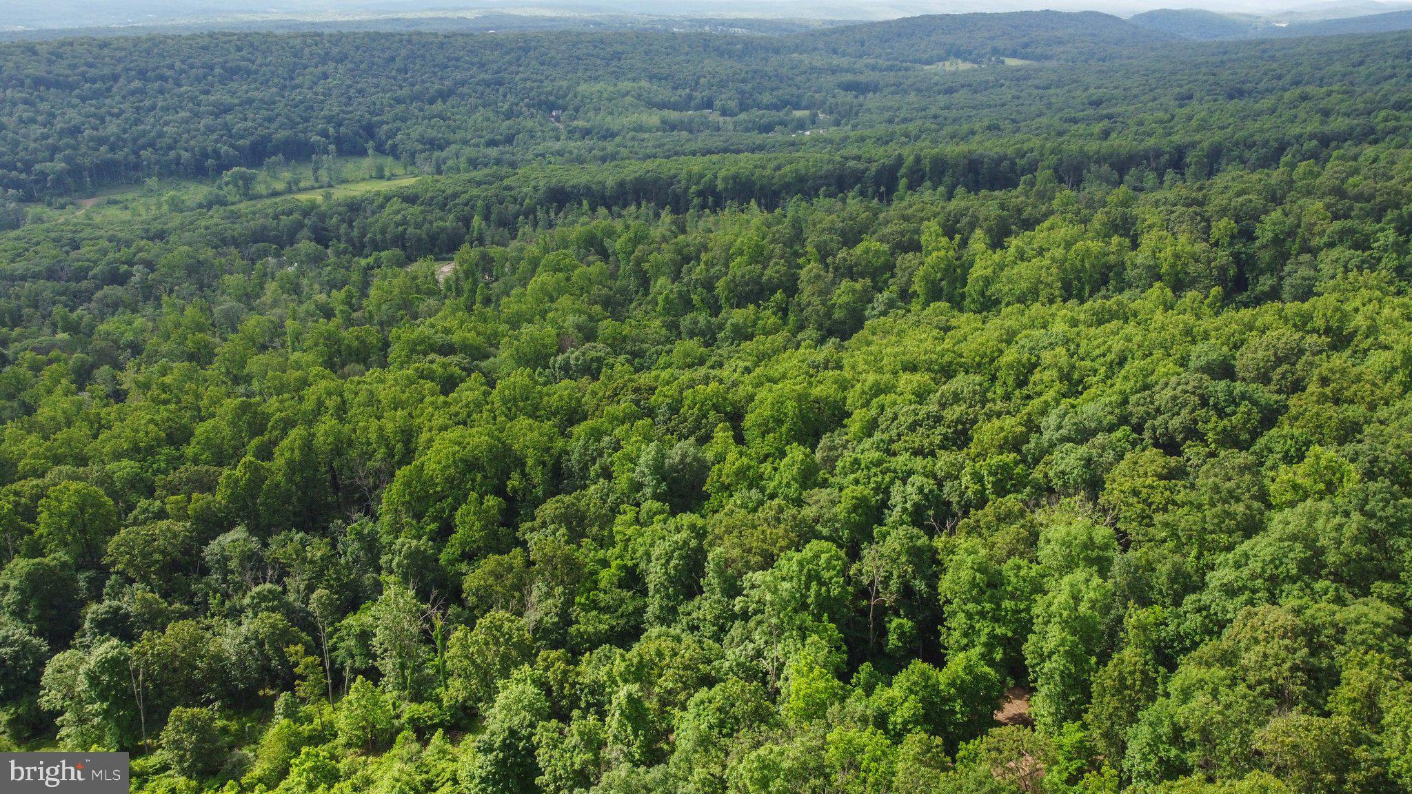 COOLFONT MOUNTAINSIDE - Residential